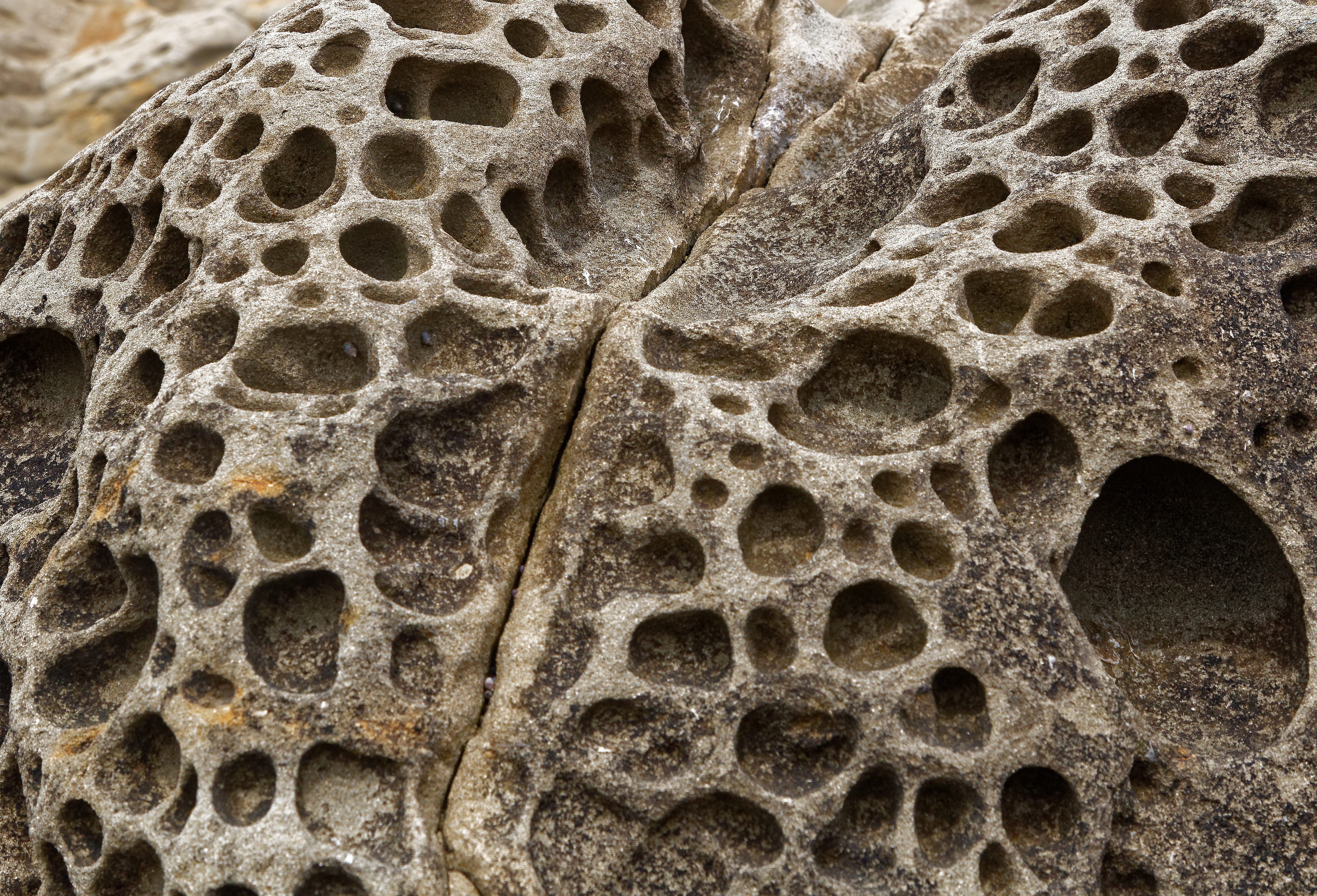 pattern, united states, nature, day, backgrounds, gray, outdoors, close-up, no people, natural pattern, 5K, geometric shape, full frame, textured, detail, HD Wallpaper