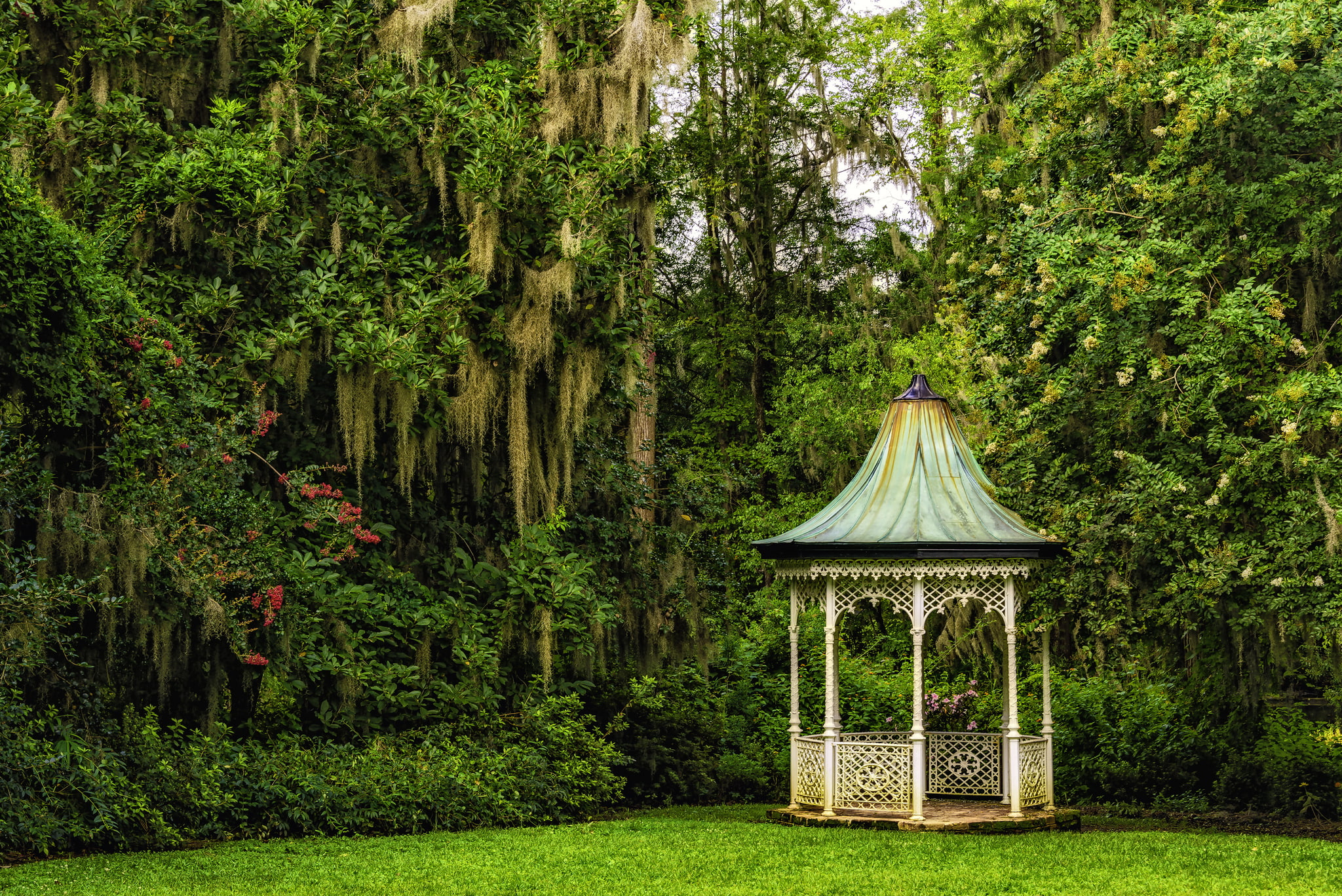 1080P, Gardens magnolias, Magnolia Gardens, South Carolina, trees, gazebo, Charleston, HD Wallpaper