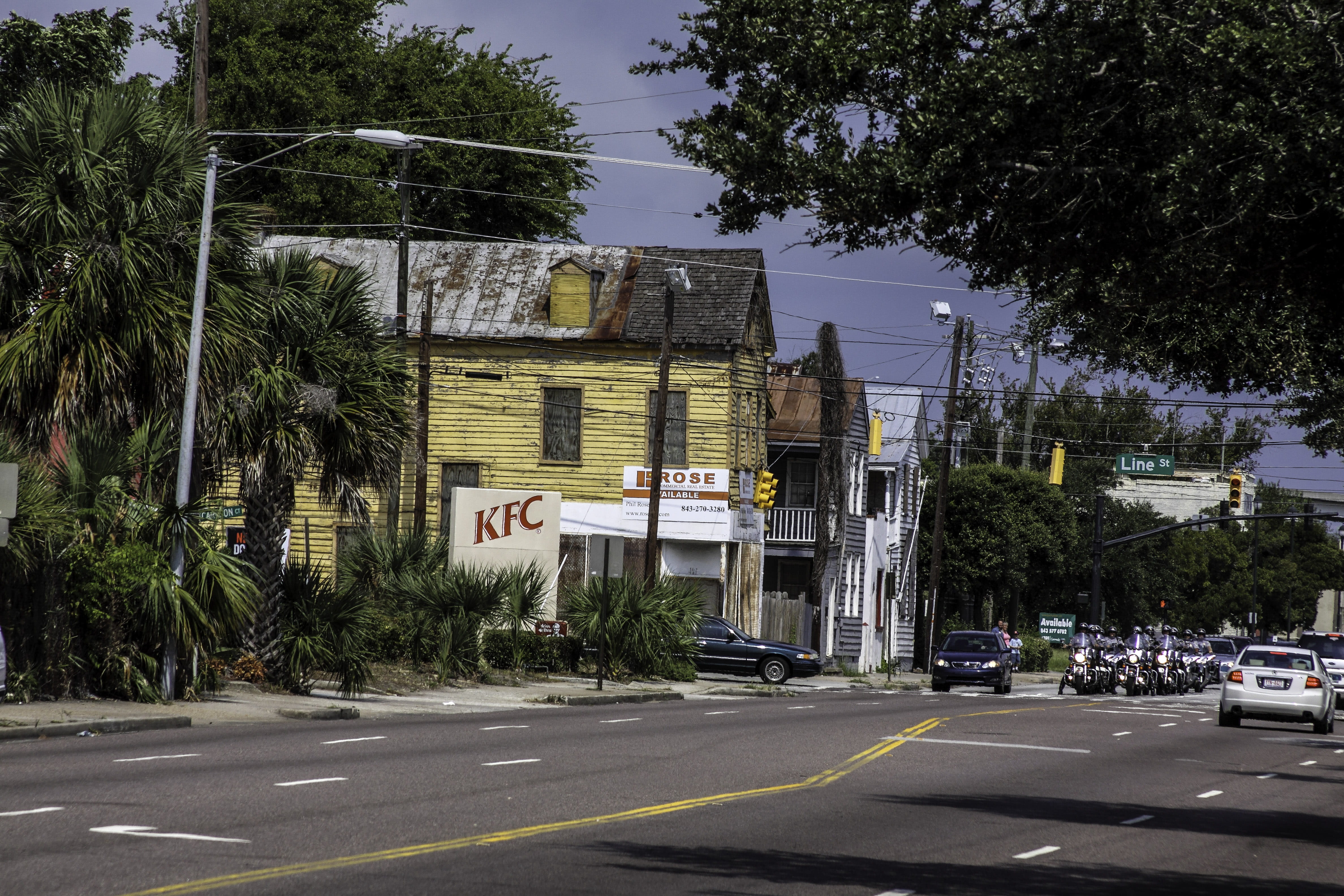 tree, south, road, charleston, symbol, mode of transportation, 4K, transportation, sign, road marking, Charleston, building Exterior, carolina, city, south carolina, HD Wallpaper