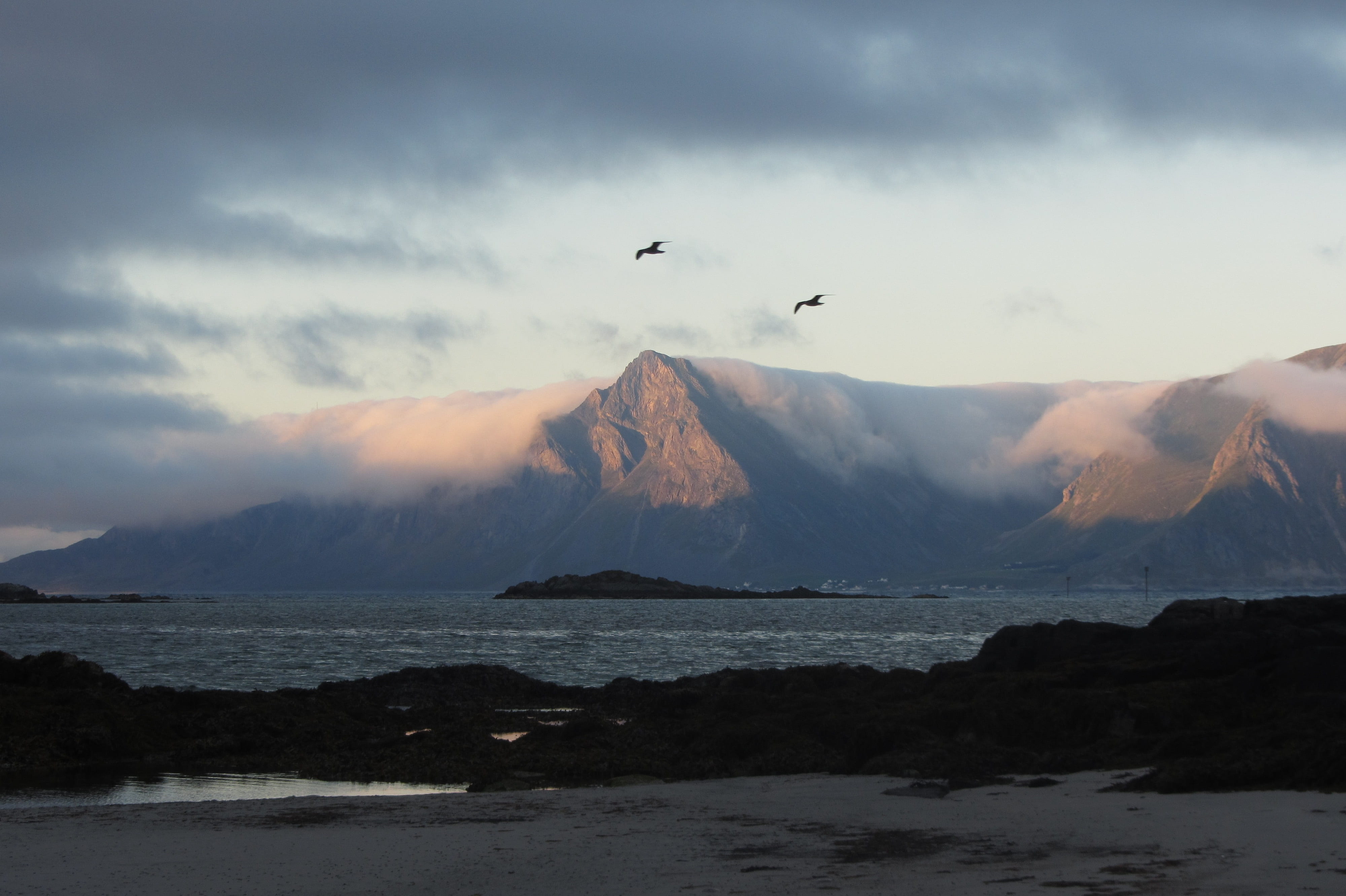birds, sand, vertebrate, 4K, mountain, water, clouds, beauty in nature, mountain range, tranquil scene, animal, norwegian sea, no people, nature, animal wildlife, HD Wallpaper