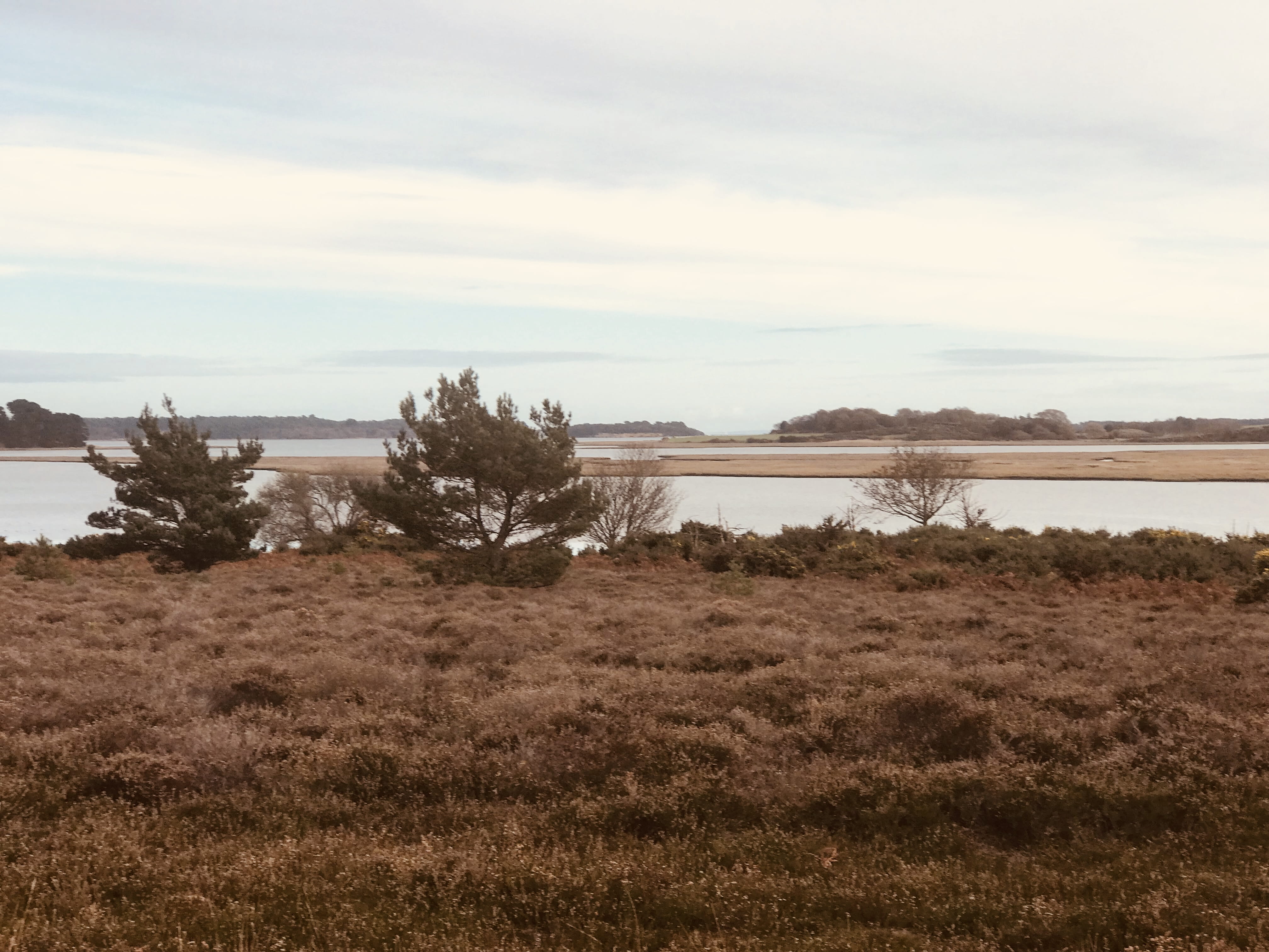 water, sky, non-urban scene, wareham, plant, 4K, land, grass, tranquil scene, landscape, beauty in nature, environment, day, outdoors, cloud - sky, rspb arne, HD Wallpaper