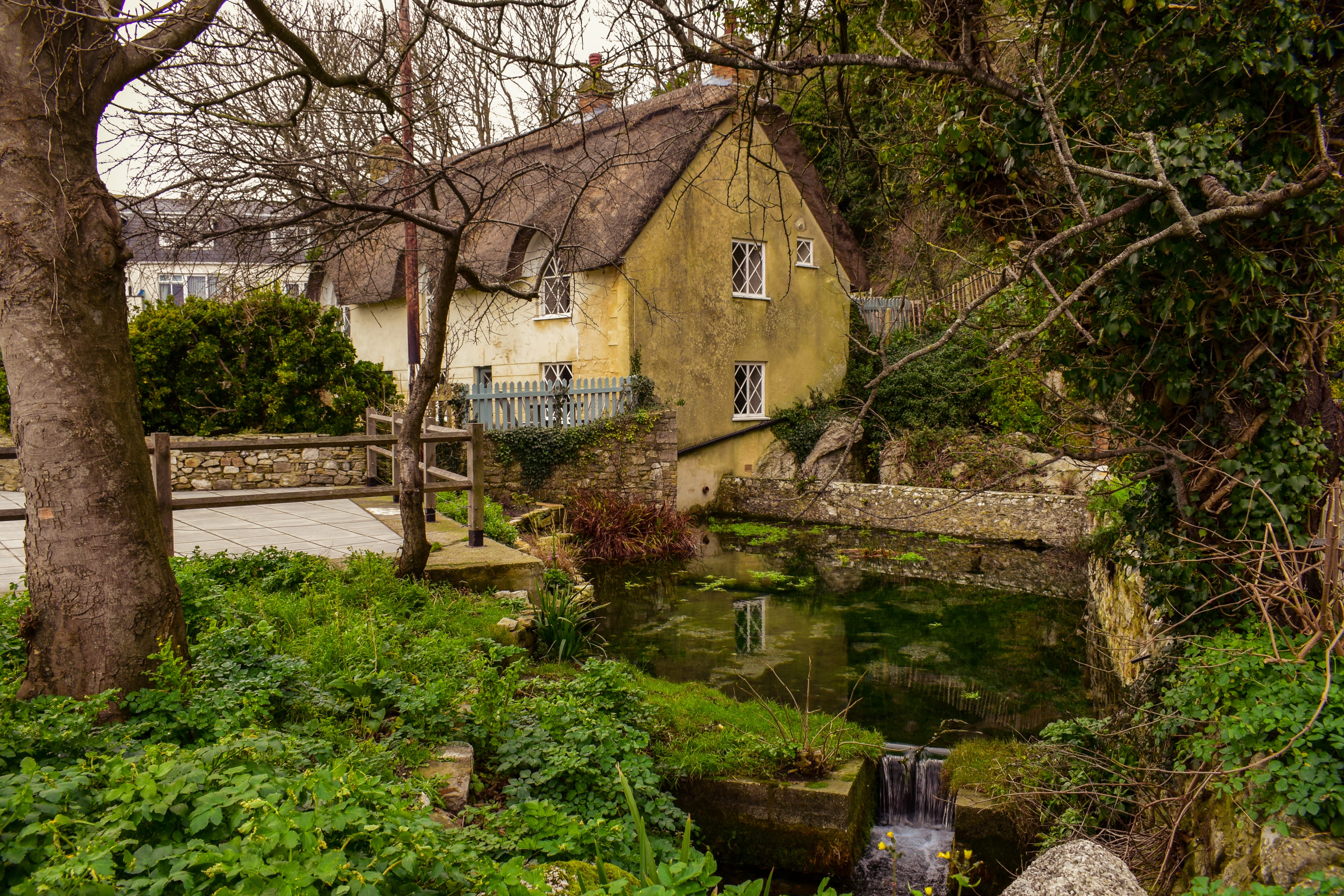 5K, united kingdom, building, plant, old, downloading, growth, cottage, village, forest, outdoors, nature, dorset, home, built structure, building exterior, HD Wallpaper