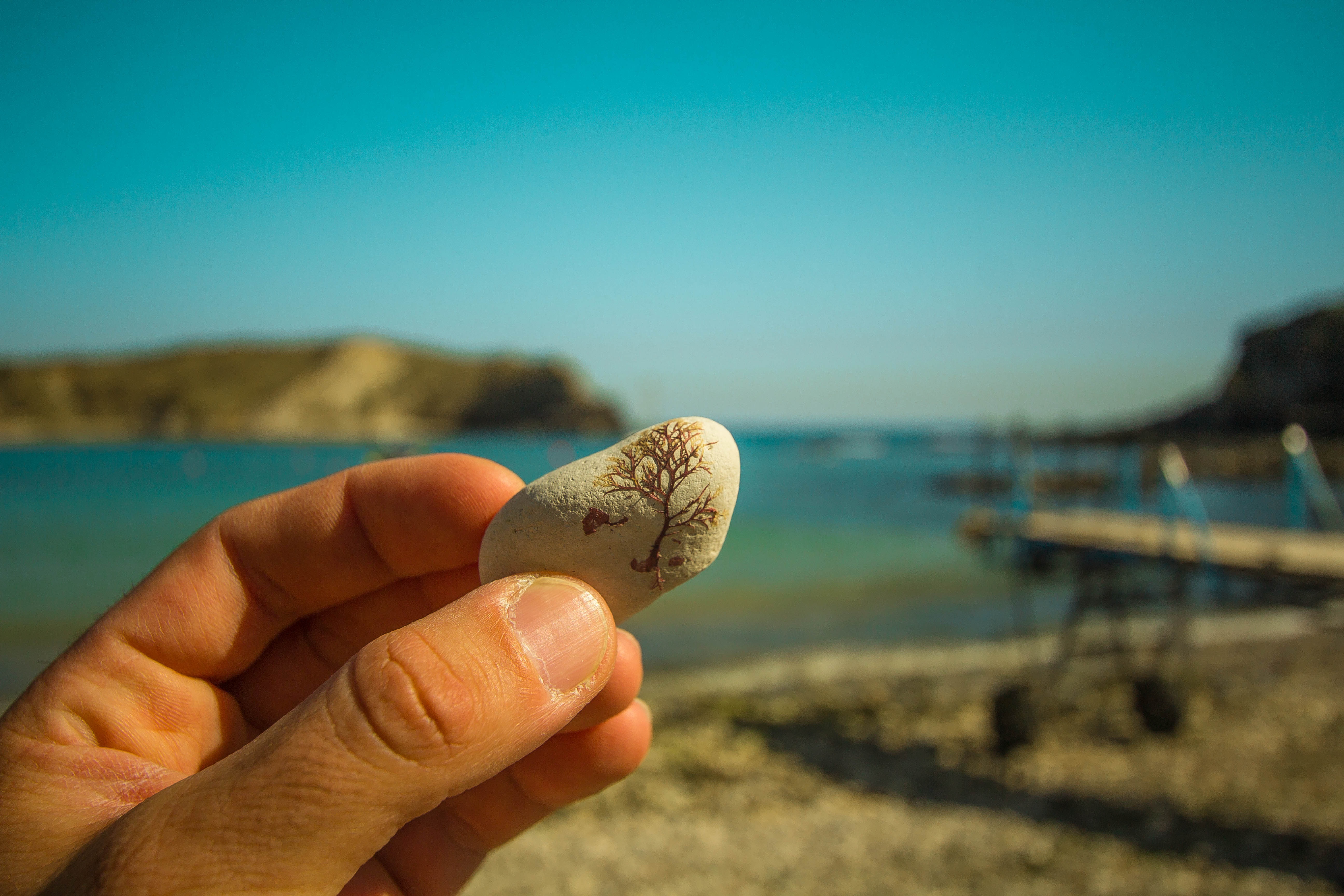 land, nature, stone, 5K, manual, human finger, art, holding, sea, unrecognizable person, close-up, water, beach, day, laguna, lulworth cove, personal perspective, HD Wallpaper
