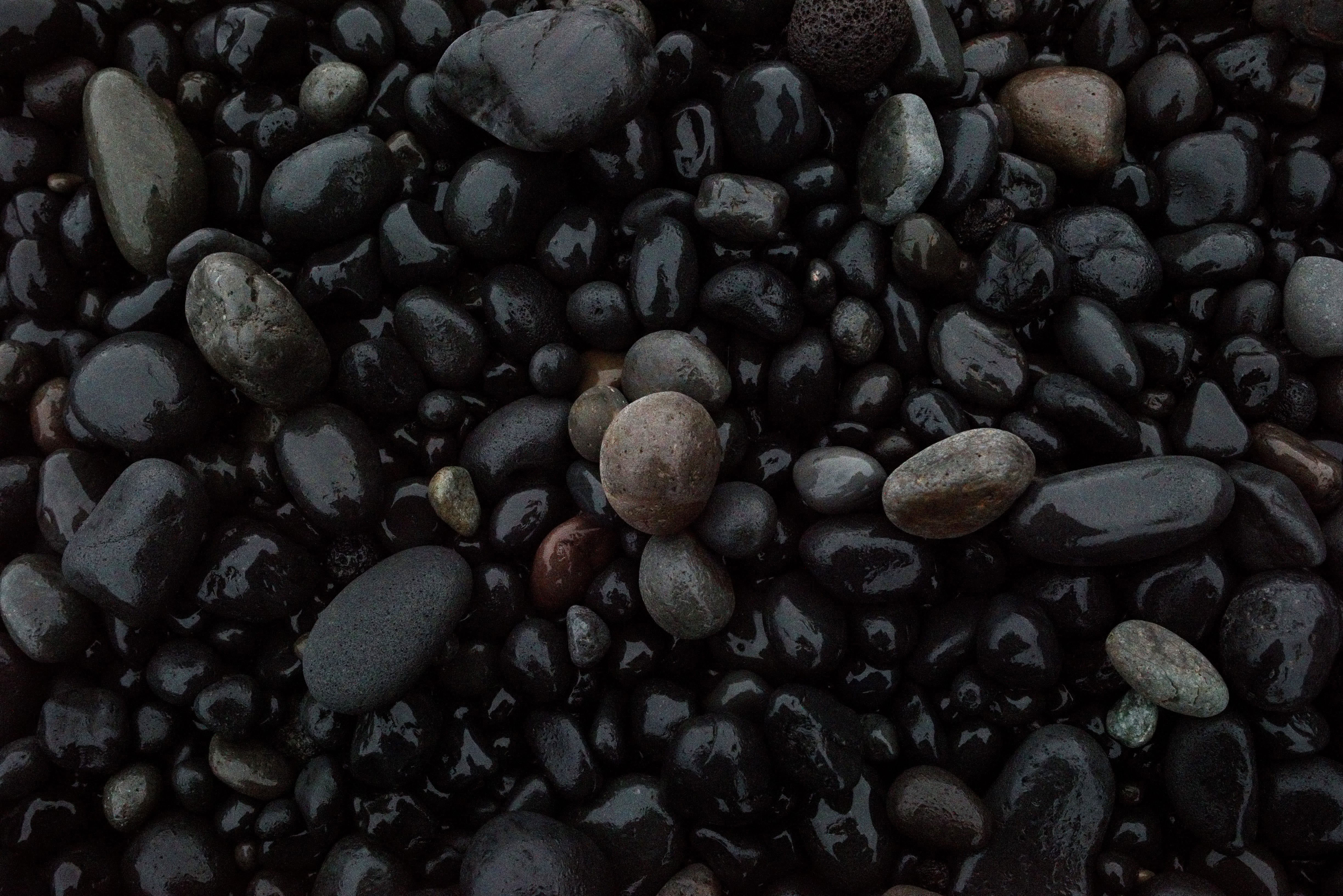 black color, round, fruit, shiny, high angle view, reynisfjara beach, coffee - drink, dots, close-up, background, wellbeing, wet, freshness, coffee, pattern, HD Wallpaper