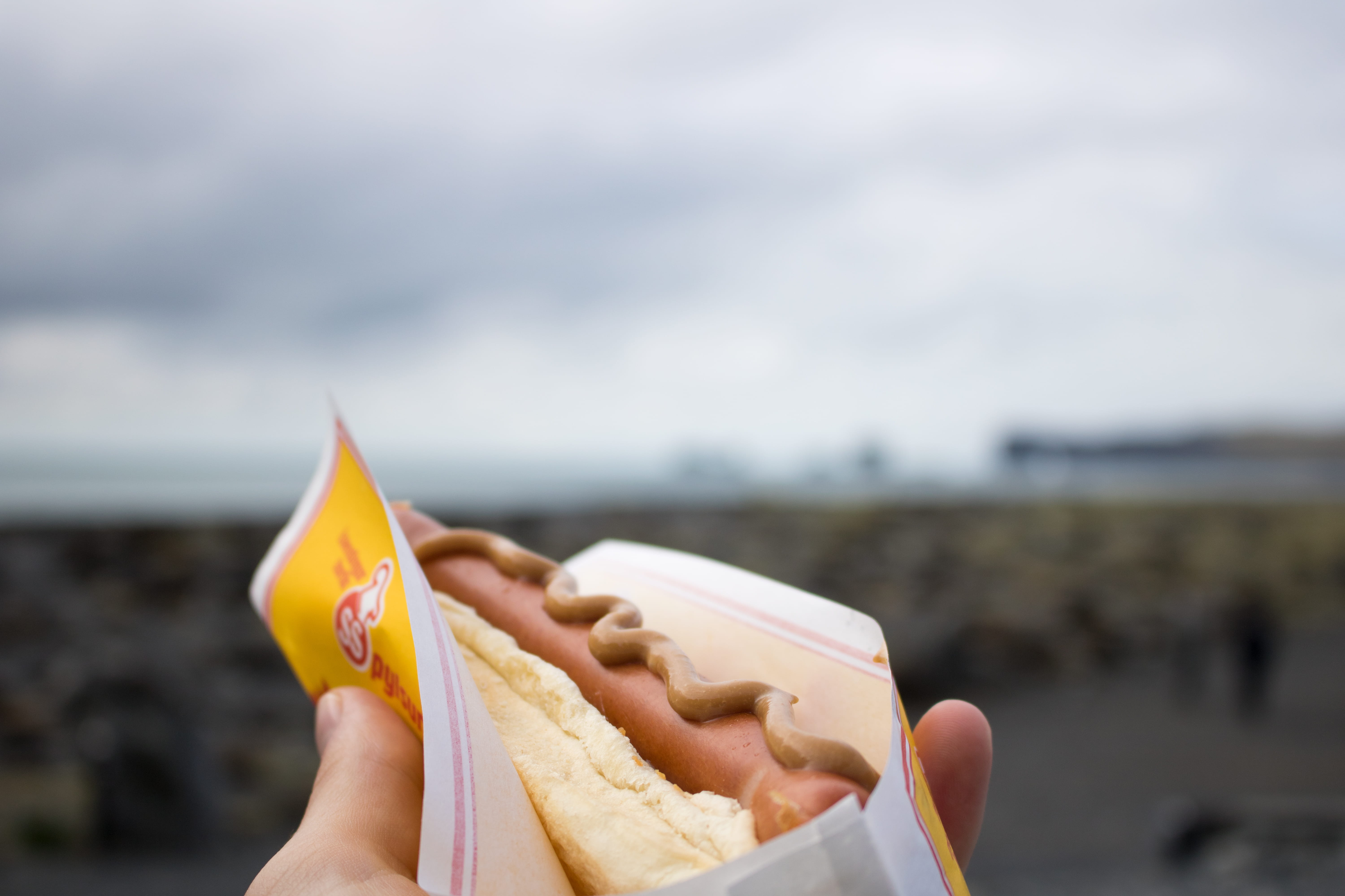 sausage, 5K, food, unrecognizable person, leisure activity, flag, adult, food and drink, sandwich, cream, iceland, dessert, close-up, reynisfjara, day, HD Wallpaper