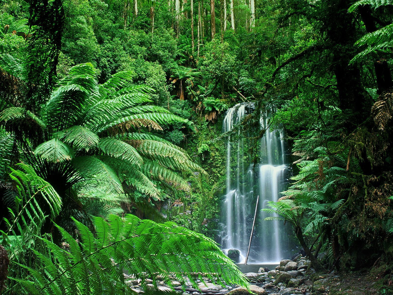 travel, beauchamp, australia, falls, world, 720P, travel and world, hd, HD Wallpaper