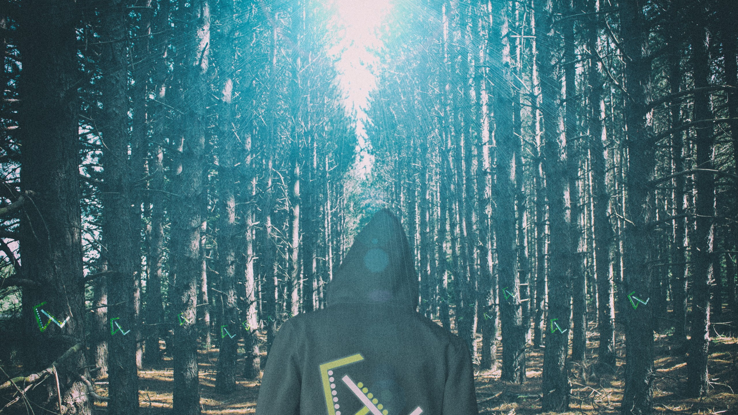 trunk, beauty in nature, sunlight, standing, nature, one person, tranquility, real people, lights, tree trunk, plant, growth, day, lifestyles, leisure activity, HD Wallpaper