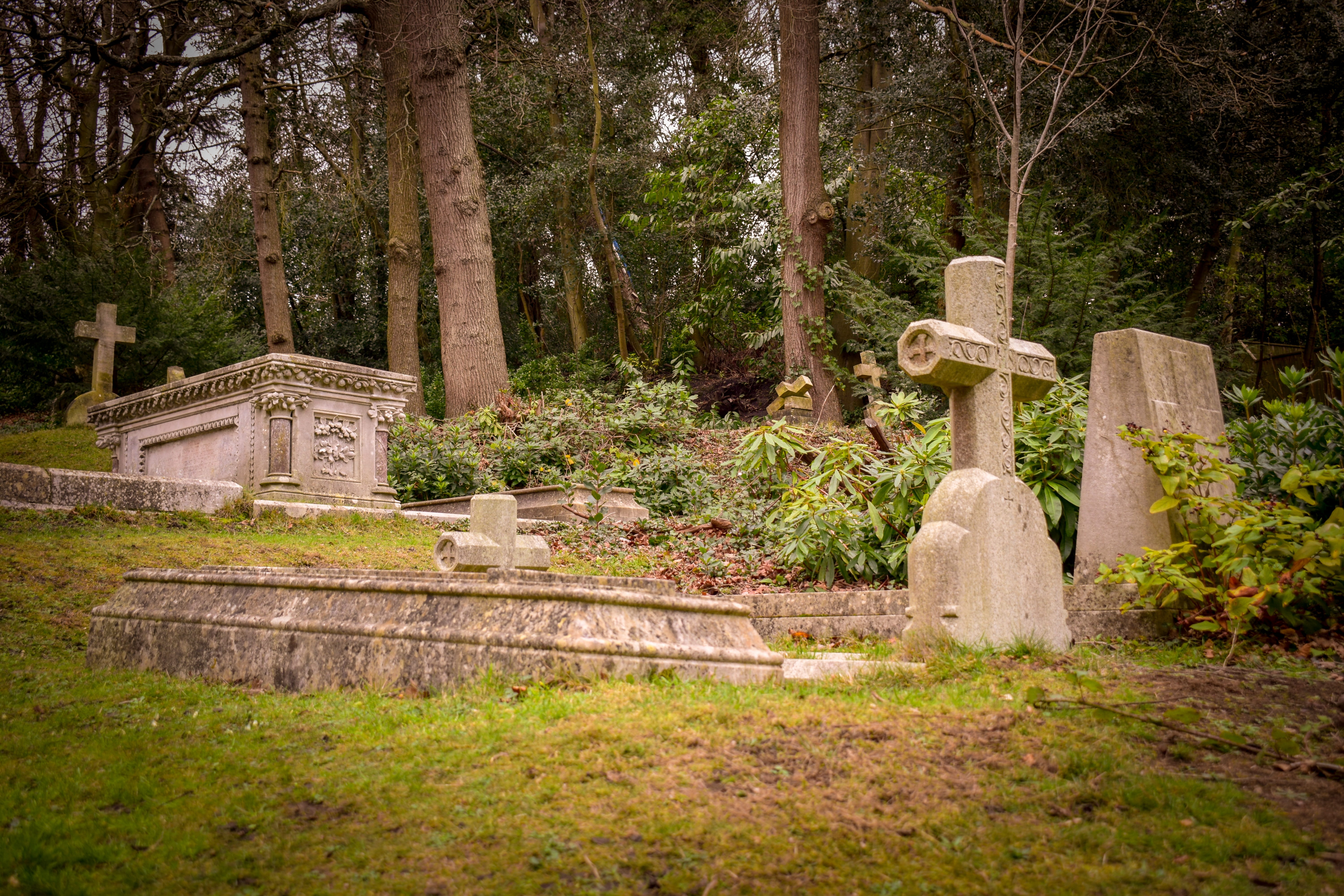 solid, cross, grave, sadness, graves, day, architecture, no people, religion, 5K, plant, old, graveyard, stone material, tombstone, belief, stone, tree, HD Wallpaper