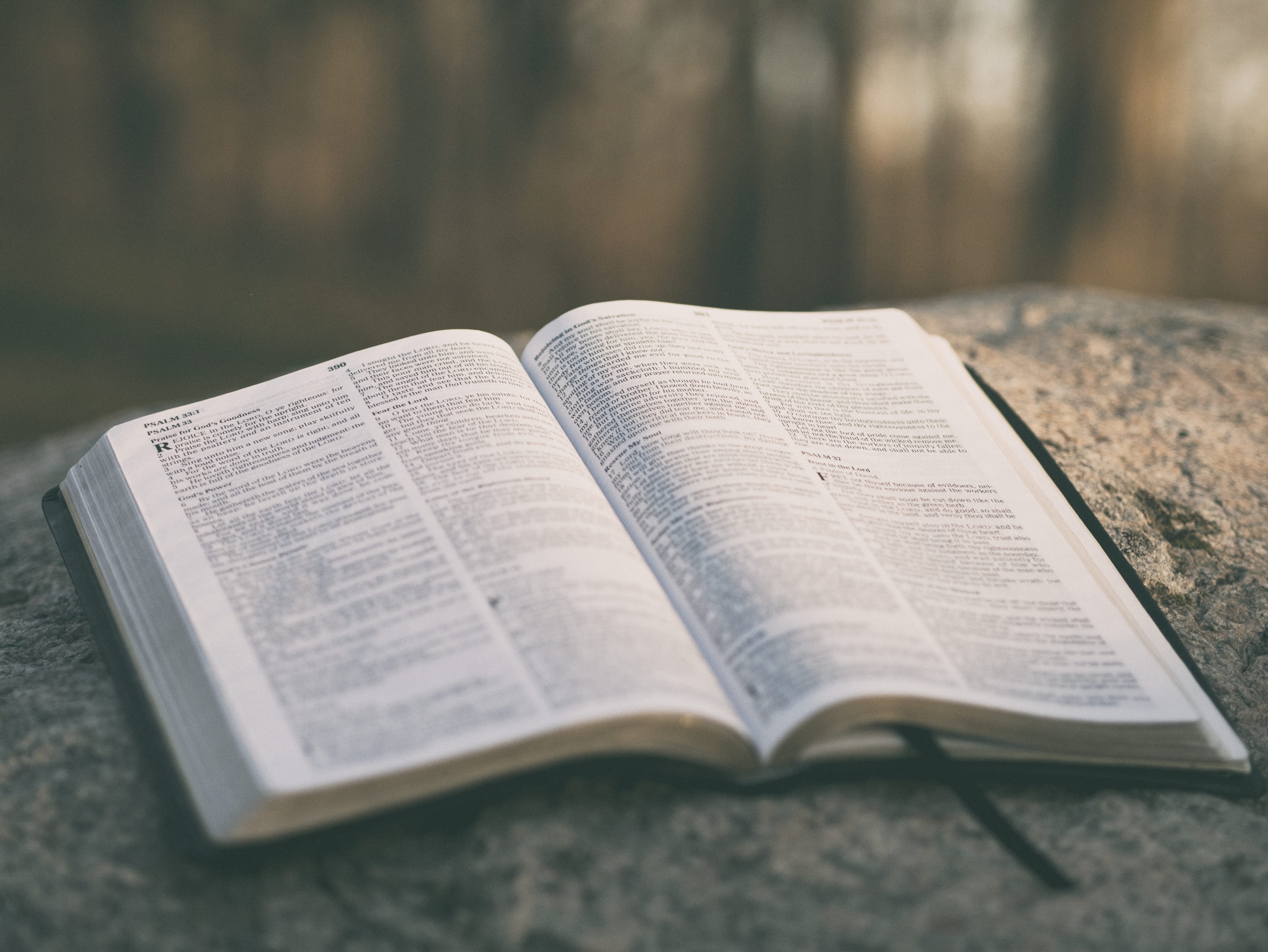 belief, table, religion, no people, education, paper, top, indoors, expertise, close-up, spirituality, open, literature, publication, religious equipment, HD Wallpaper