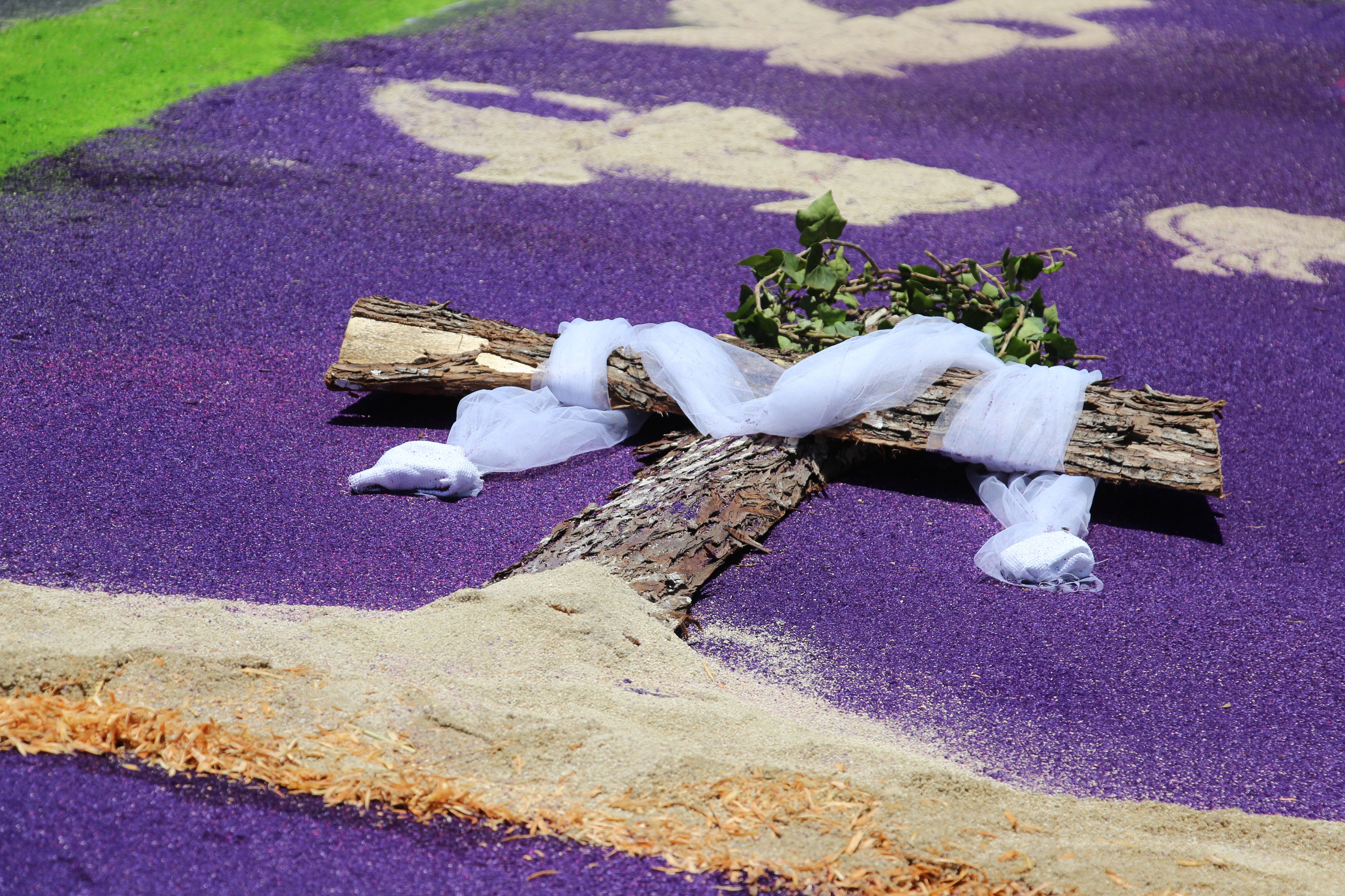 bird, carpet, no people, day, white color, vertebrate, faith, guatemala, animal, peace, wood, belief, animal themes, christ, tradition, cruz, nature, purple, HD Wallpaper