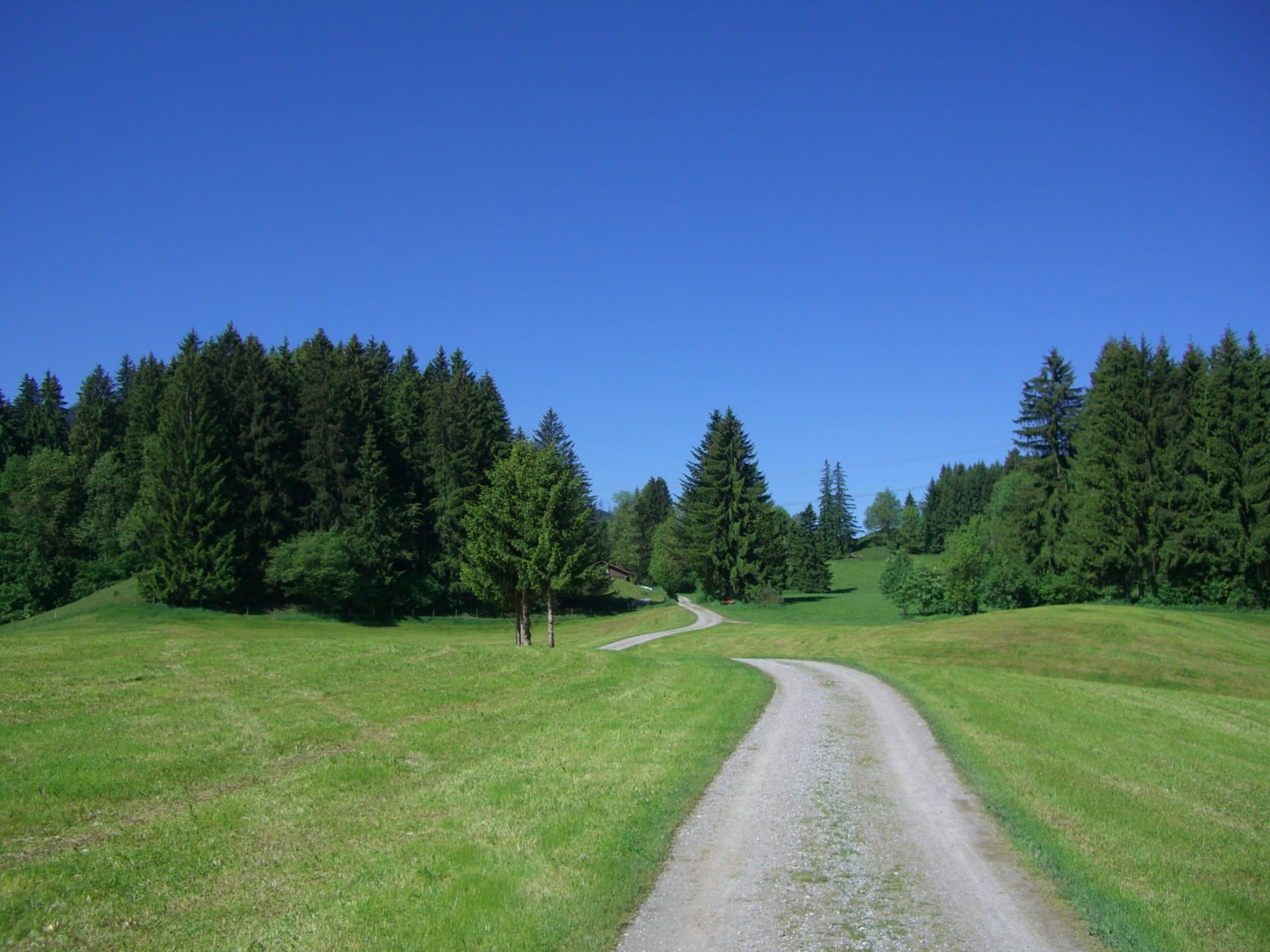 pine tree, transportation, reflection, scenics, mountain, road, tranquil scene, pine woodland, tree, tranquility, field, no People, green Color, clear sky, HD Wallpaper