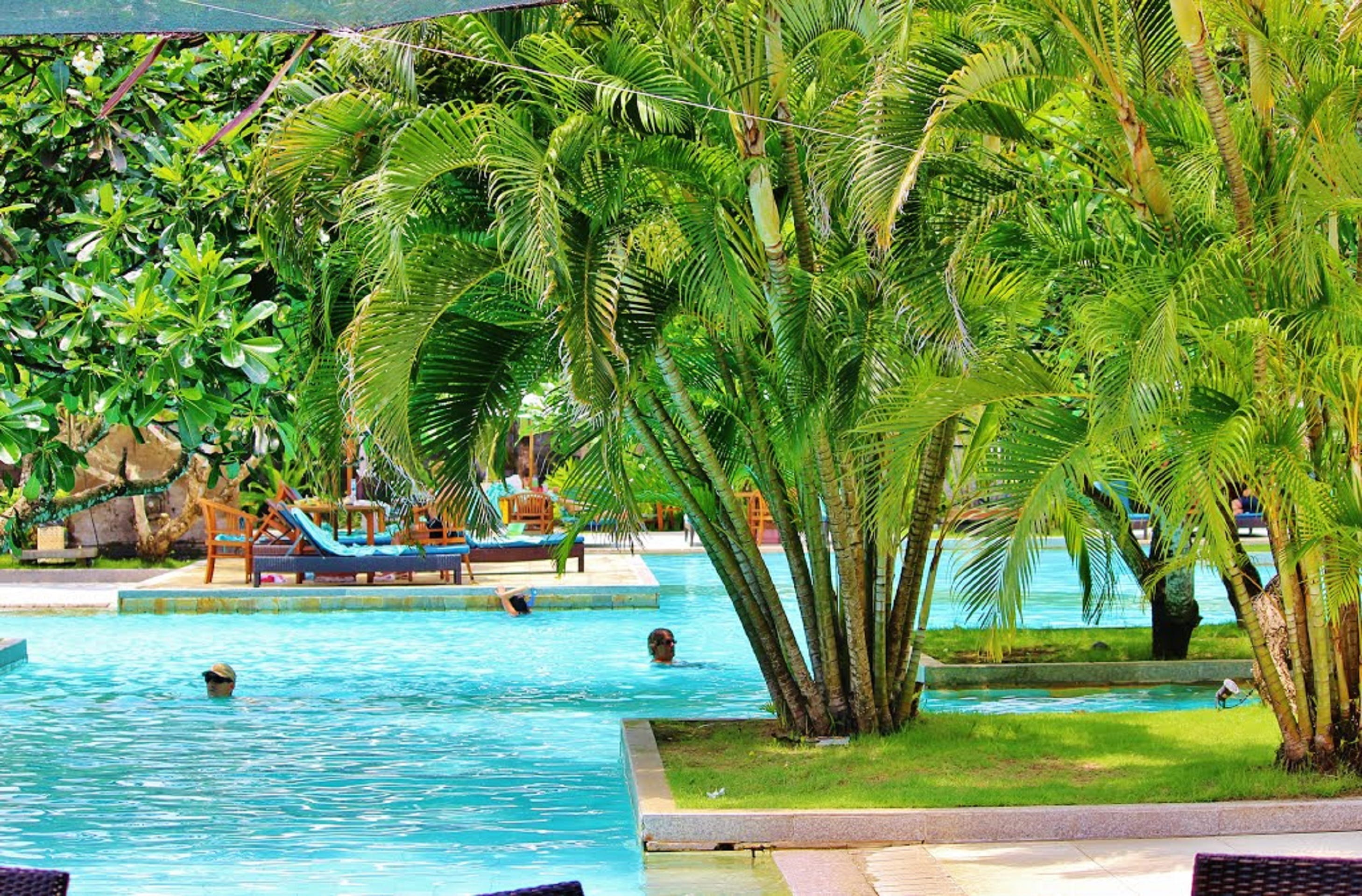 plant, nature, 2K, water, beauty in nature, swimming, luxury, sunlight, indonesia, day, tranquility, tourism, swimming pool, vacation, turquoise colored, HD Wallpaper