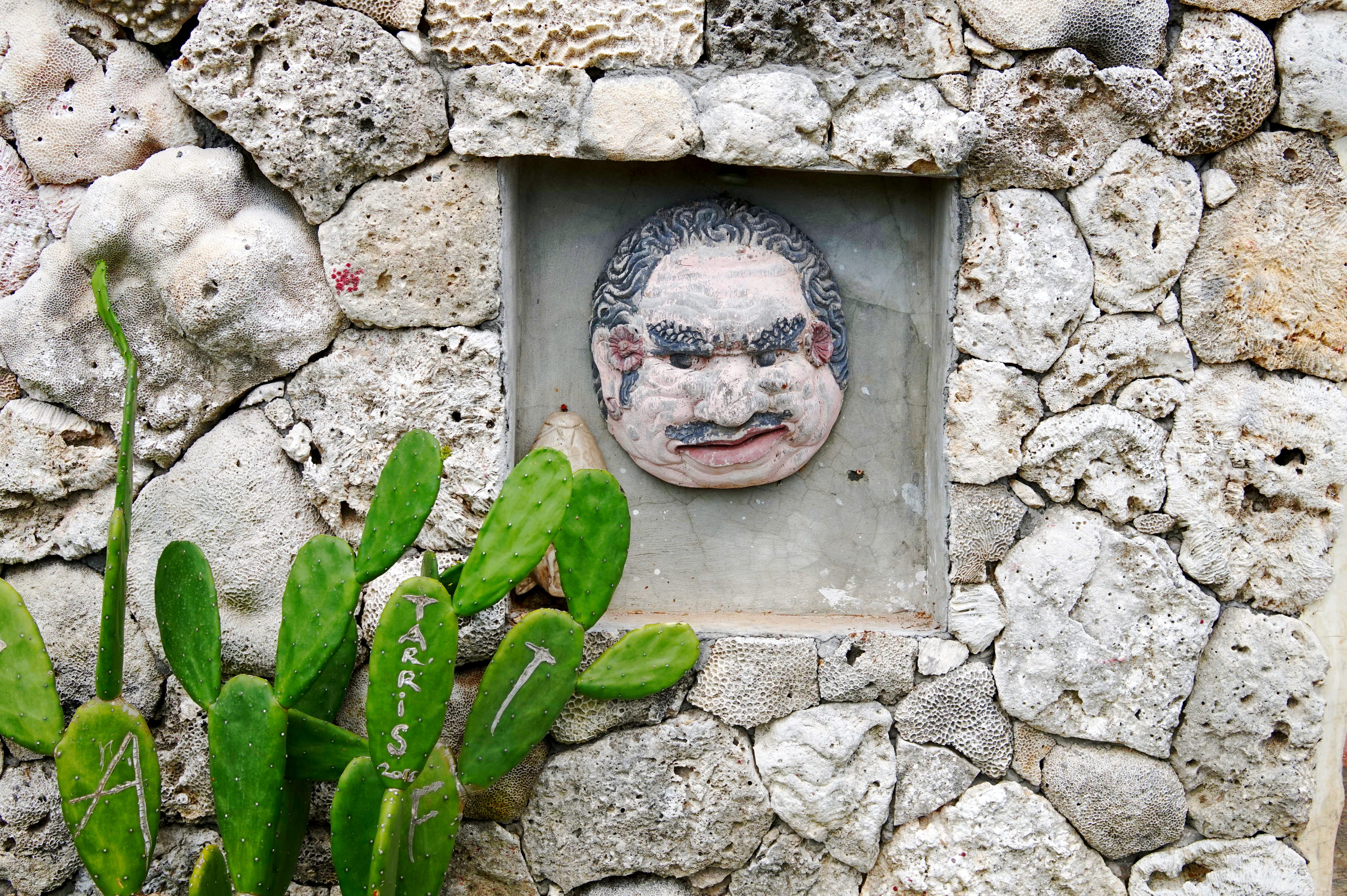 garden, wall - building feature, stone, bali, stone wall, stone material, green color, plant, lembongan, wall, cactus, animal head, architectural, sculpture, HD Wallpaper