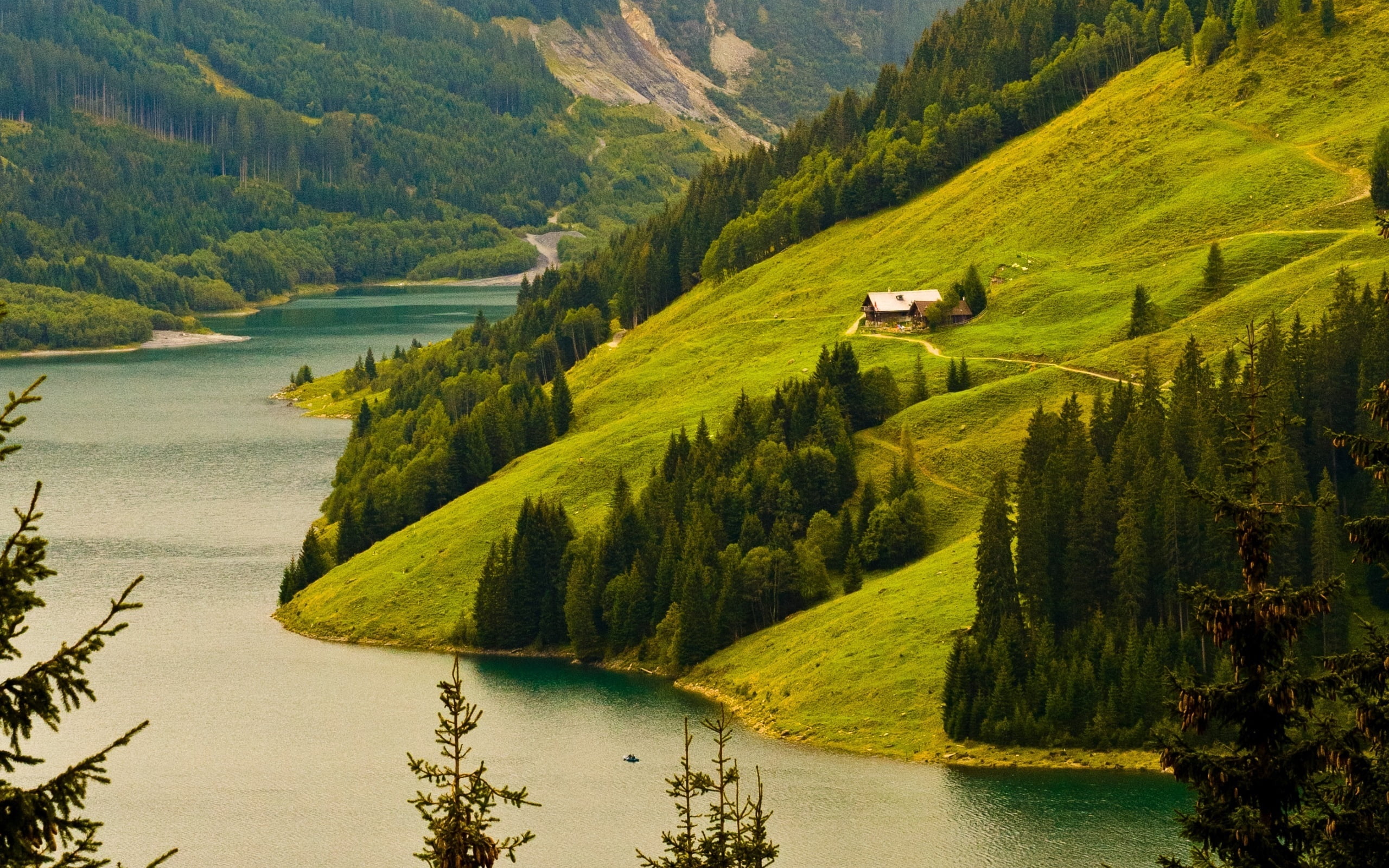 coniferous tree, plant, water, land, nature, no People, green Color, trees, blue, europe, fjord, tranquil Scene, valley, forest, slope, scenics - nature, HD Wallpaper