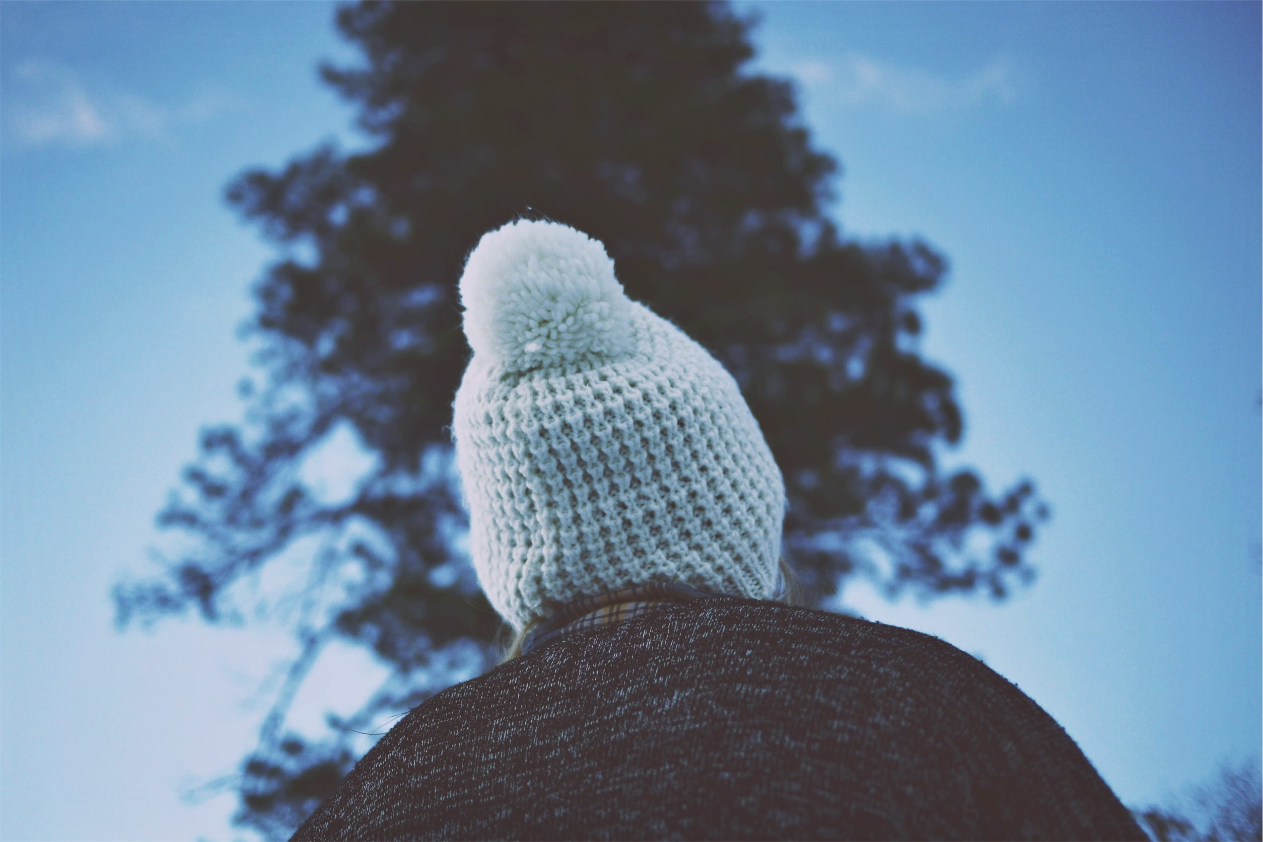 focus on foreground, pom pom, winter, snow, toque, leisure activity, nature, low angle view, day, sky, plant, portrait, rear view, warm clothing, cold temperature, HD Wallpaper