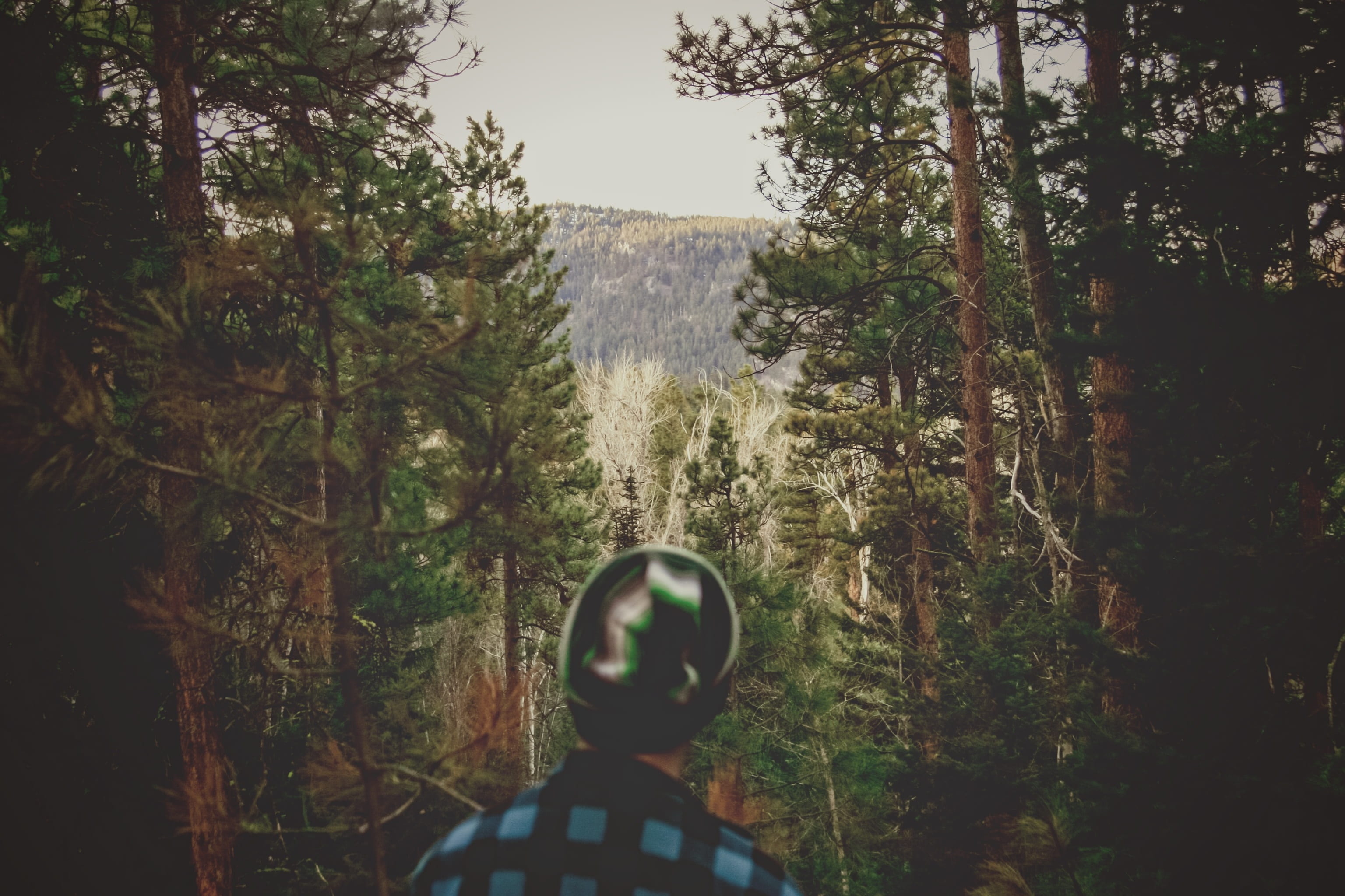 beauty in nature, growth, water, tranquil scene, mountain, scenics - nature, guy, no people, tree, toque, non-urban scene, hat, tranquility, woods, leisure activity, HD Wallpaper