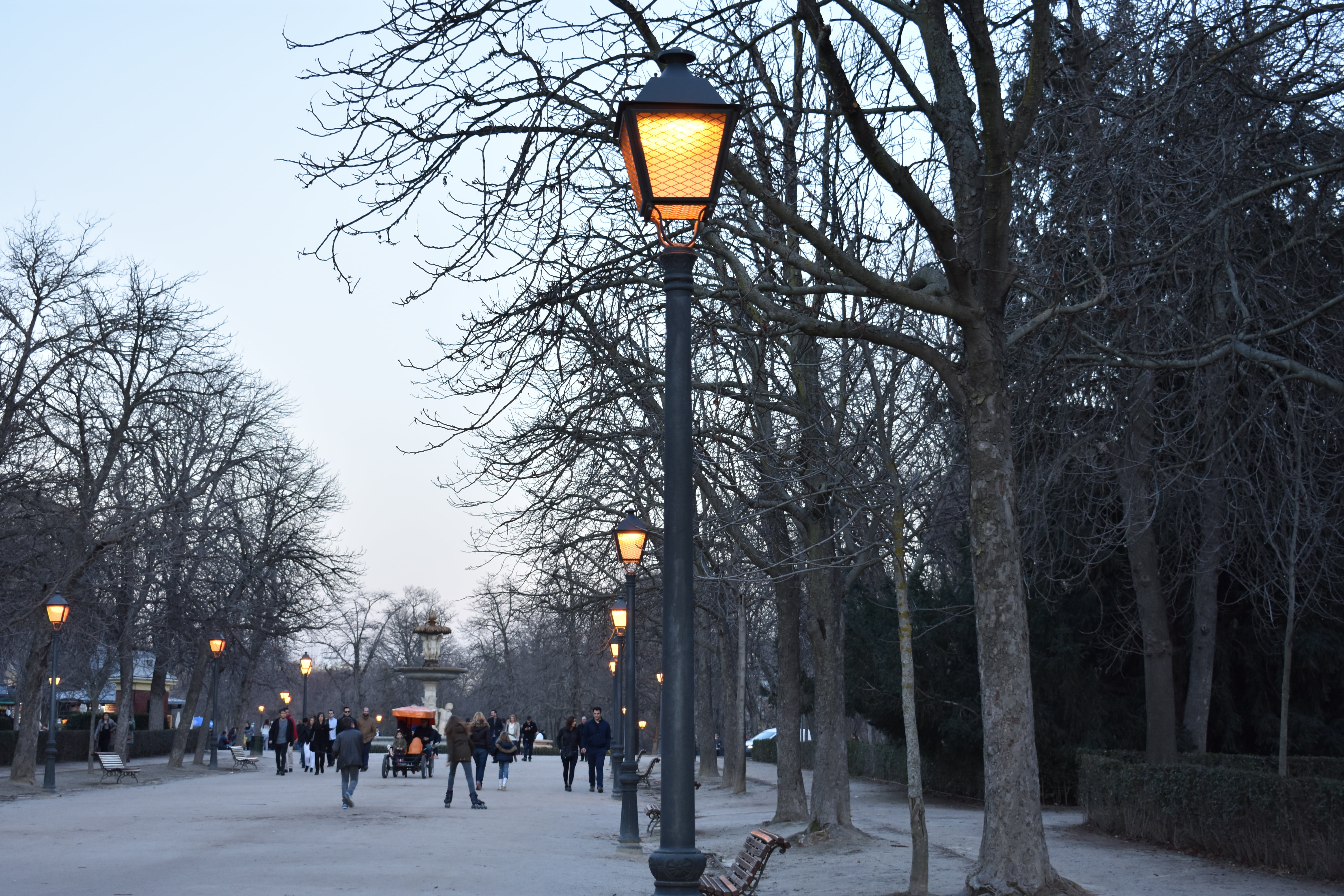 outdoor, pathway, plant, madrid, women, urban, europe, tree, light, walking, winter, outdoors, along, park, travel destinations, snow, lifestyles, direction, HD Wallpaper