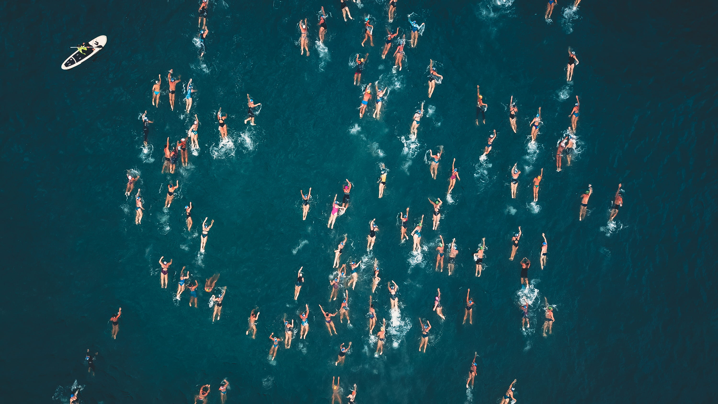 large group of people, sport, symbol, high angle view, fish, swimming, 2K, real people, land, human, person, sea, scenery, animal, brazil, beach, men, HD Wallpaper