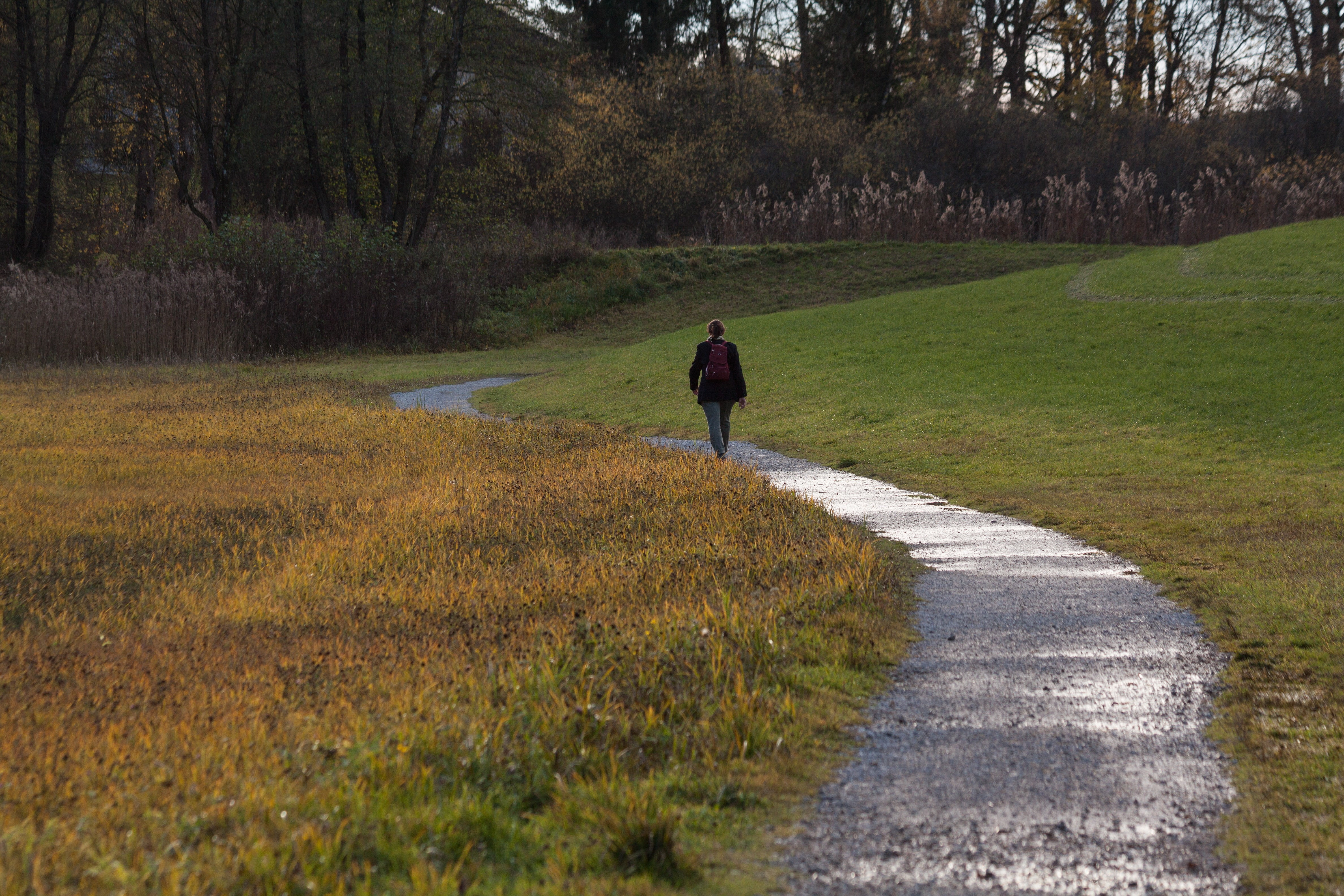 walk, walking, tranquility, person, nature, away, puddles, land, along, backpack, beauty in nature, field, pathway, real people, hiking, lifestyles, the way forward, HD Wallpaper