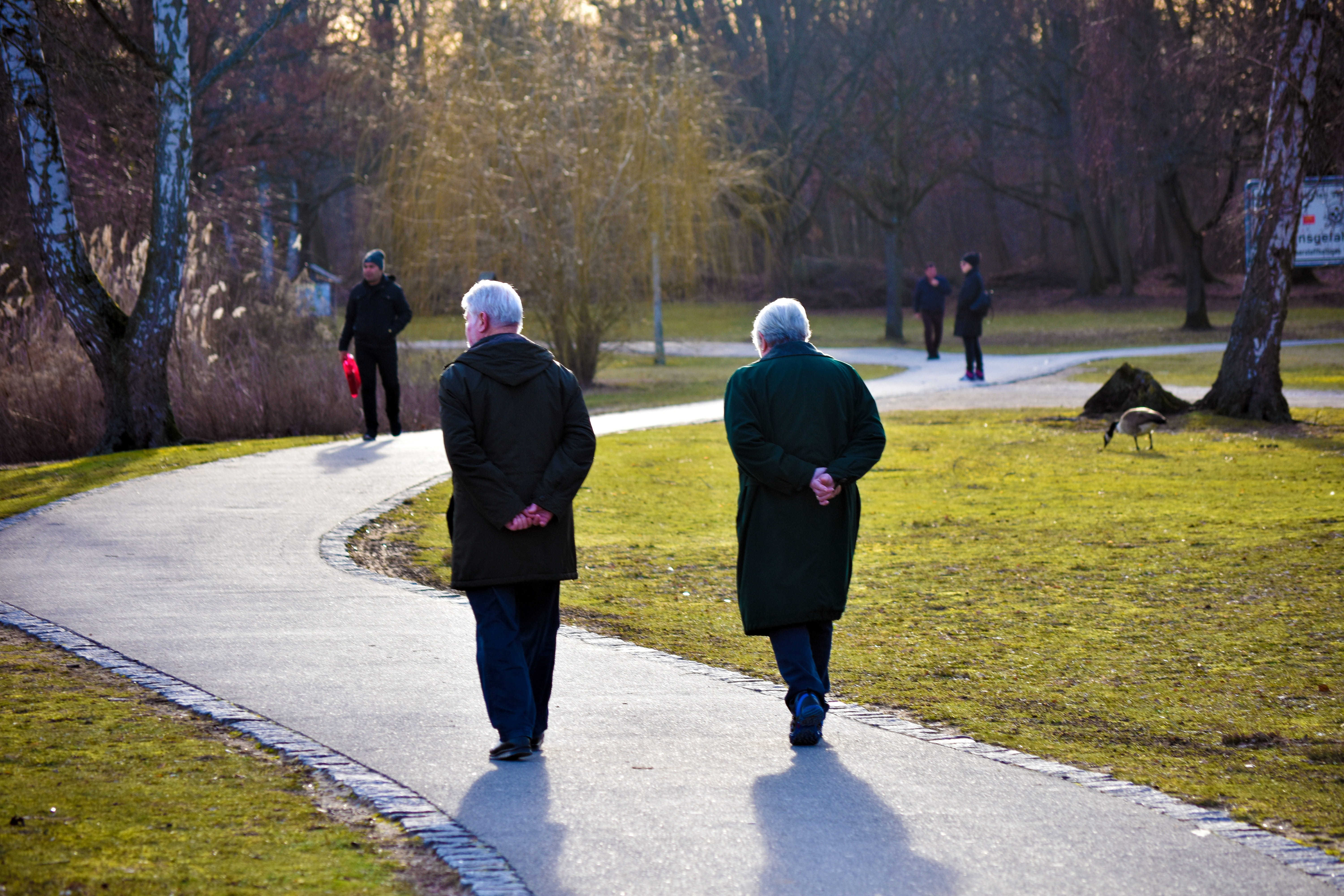 5K, old age, fatigue, men, park, third age, couple, full length, real people, women, group of people, people, rear view, the way forward, footpath, warm clothing, HD Wallpaper