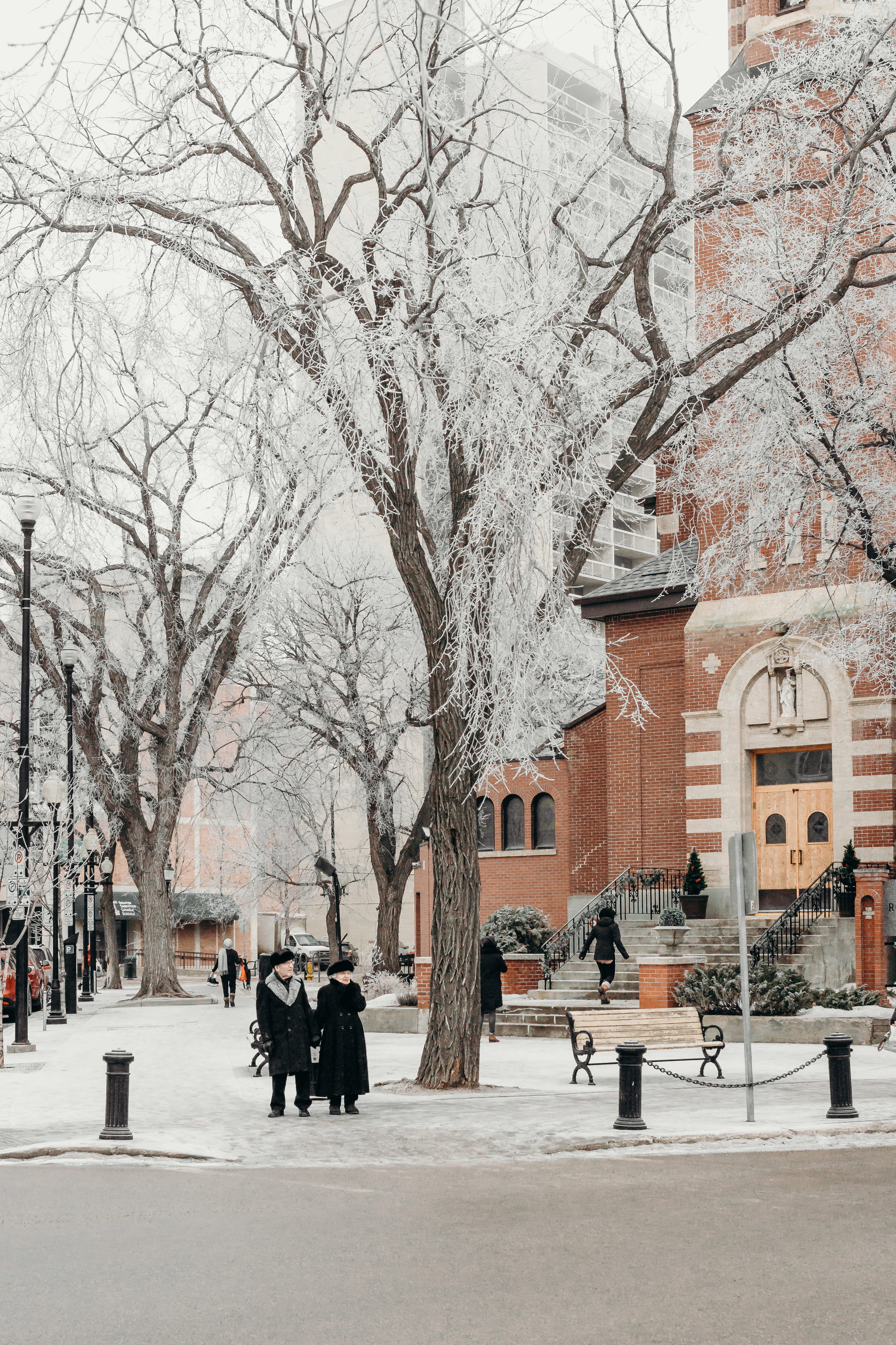 man, elderly, transportation, nature, trees, couple, group of people, winter, two, near, building exterior, walking, cold temperature, street, withered, Phone HD Wallpaper