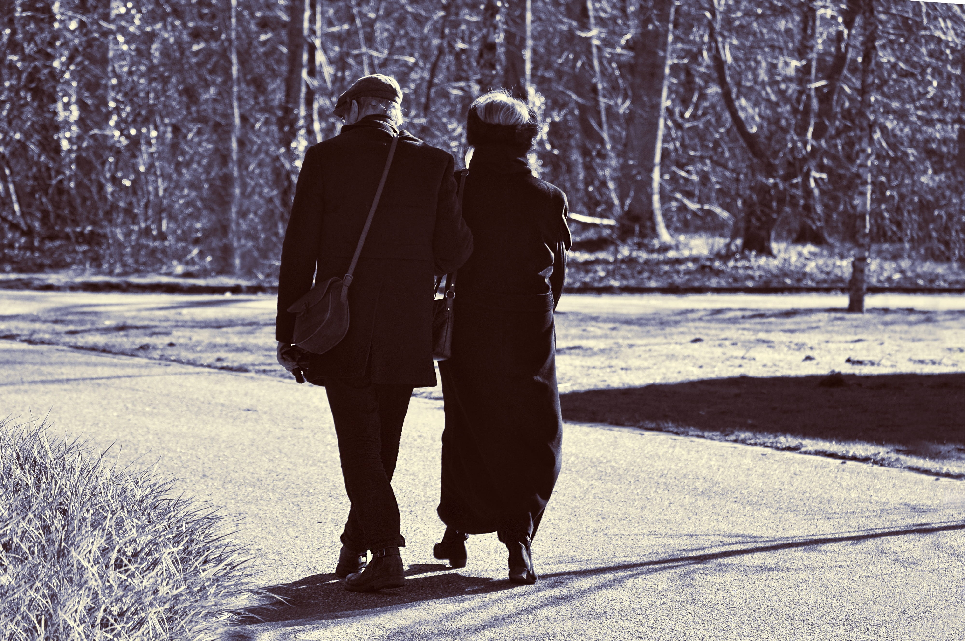 people, cold temperature, couple - relationship, bonding, real people, street, full length, togetherness, road, women, together, tree, two, day, nature, HD Wallpaper