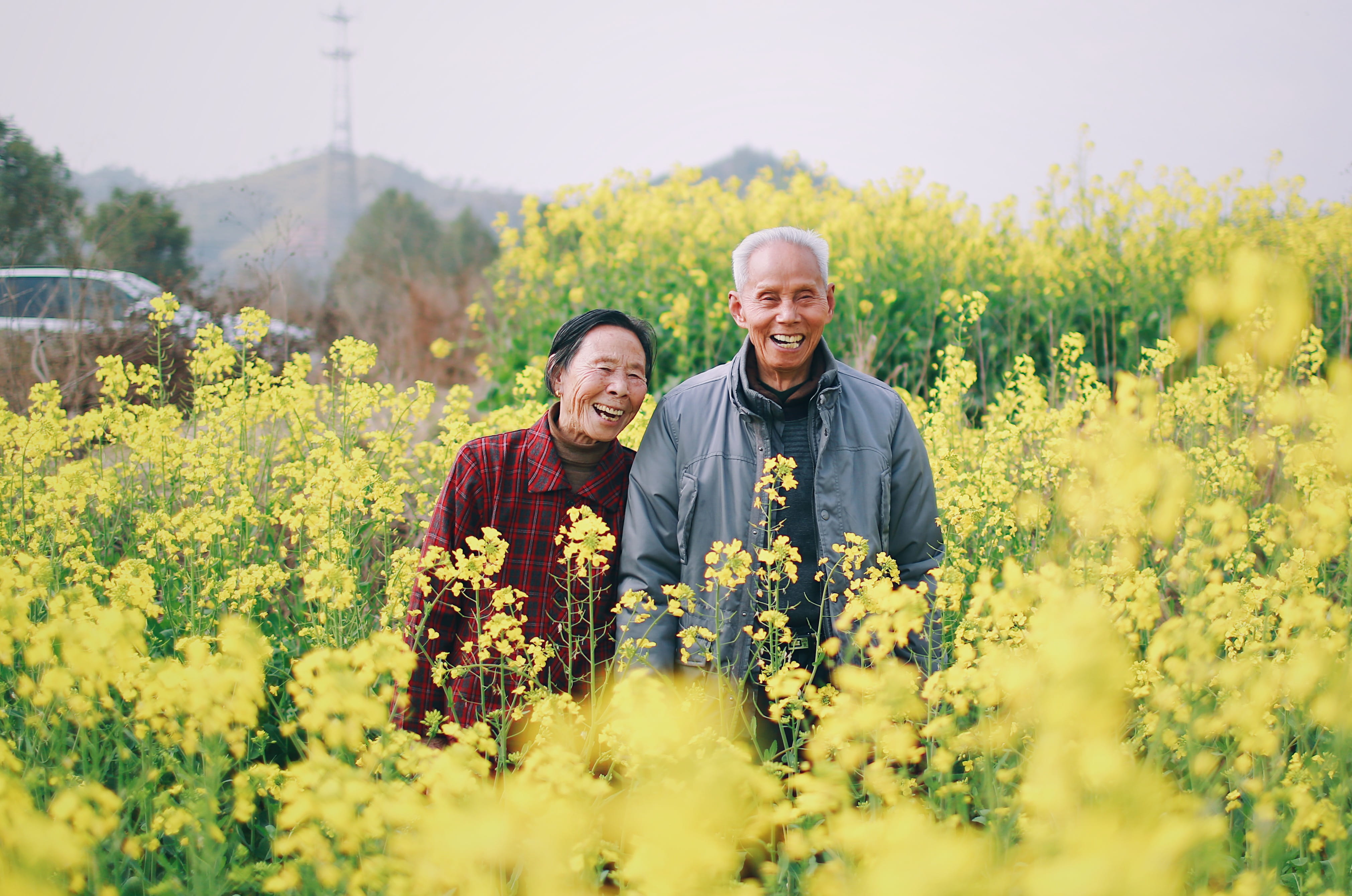 caucasian Ethnicity, old, yellow, heterosexual Couple, field, outdoors, enjoyment, couple, female, happiness, joy, males, woman, females, occupation, men, HD Wallpaper
