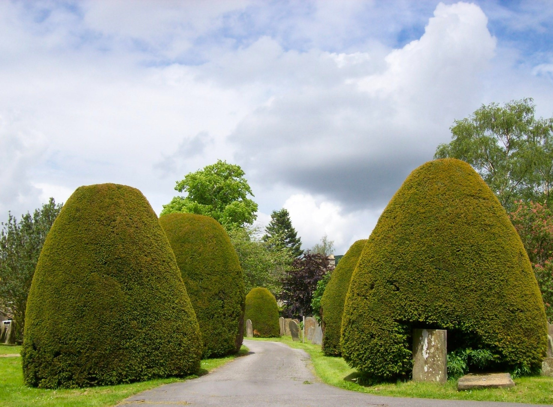 green color, no people, 720P, garden, hedge, beauty in nature, plant, england, tranquil scene, ornamental garden, churchyard, day, graves, topiary, clouds, HD Wallpaper