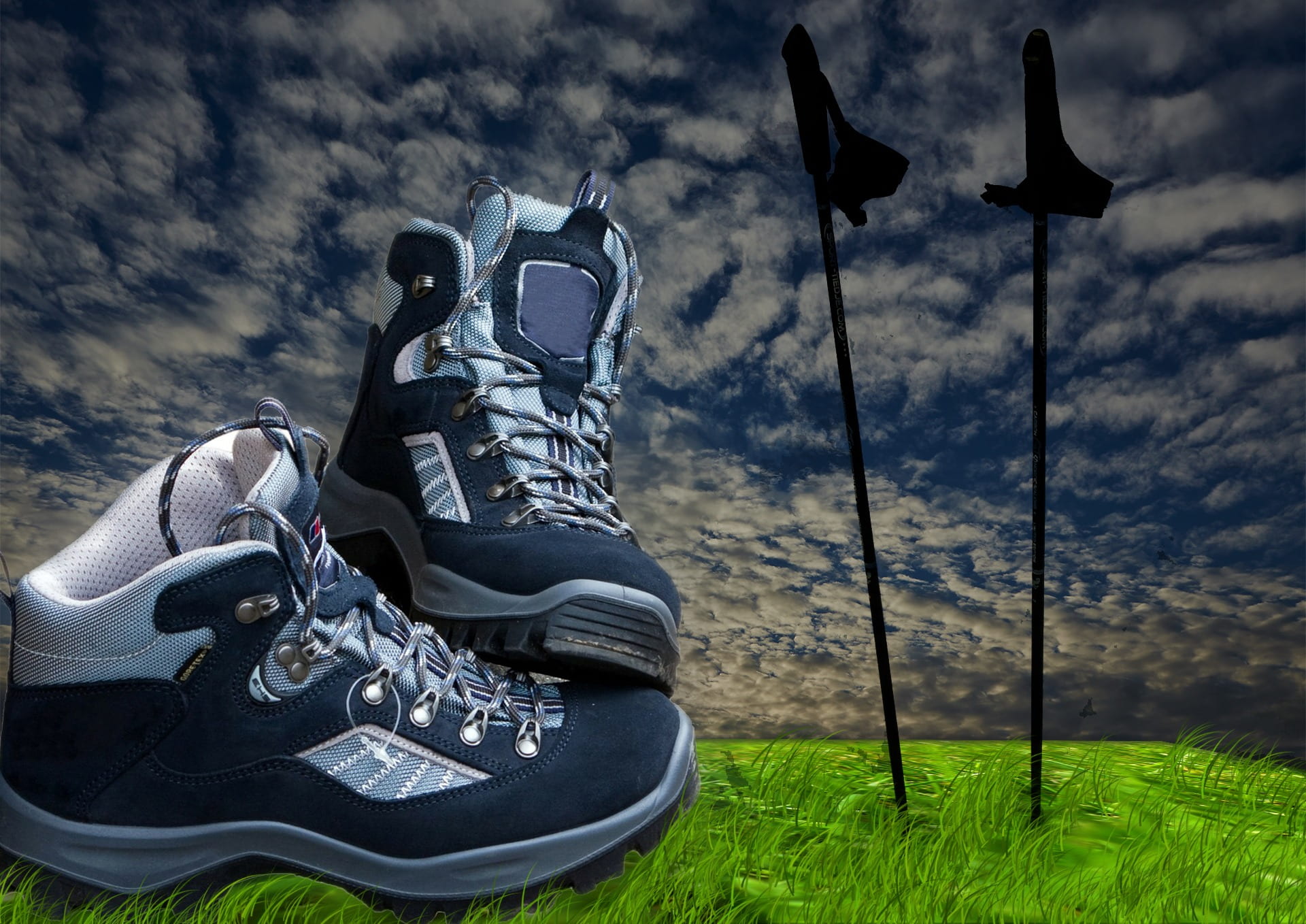 1080P, sports shoe, hiking poles, sport, hiking, sports clothing, sticks, one person, cloud - sky, leisure, grass, walken, black, nature, nordic walking, HD Wallpaper