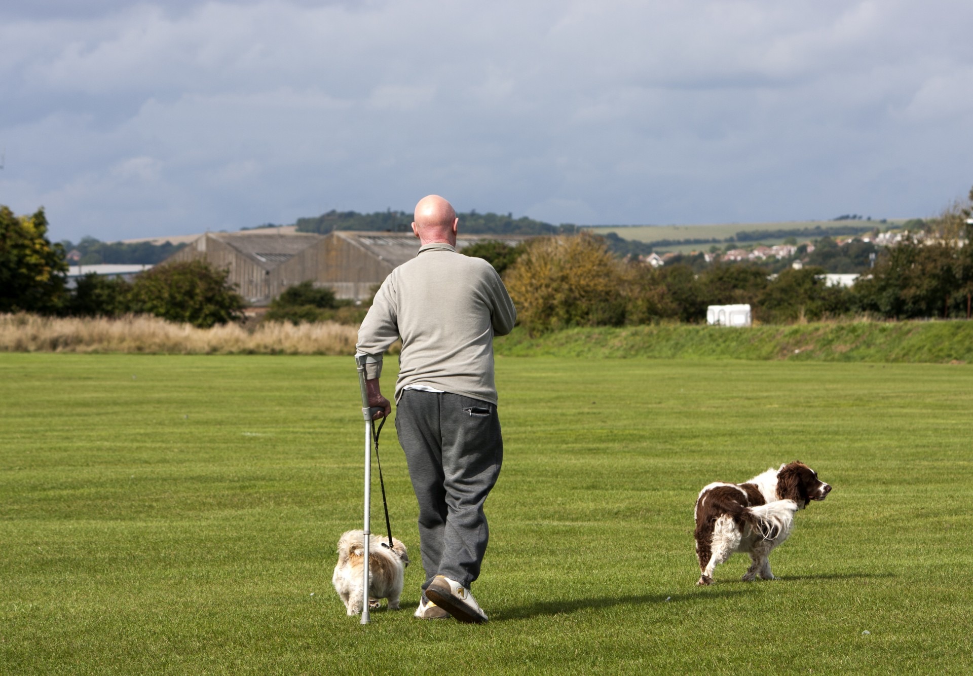1080P, pet, disabled, man, pomeranian, spaniel, pet owner, rear view, green, cloud - sky, one person, countryside, animal, dog, vertebrate, mammal, person, HD Wallpaper
