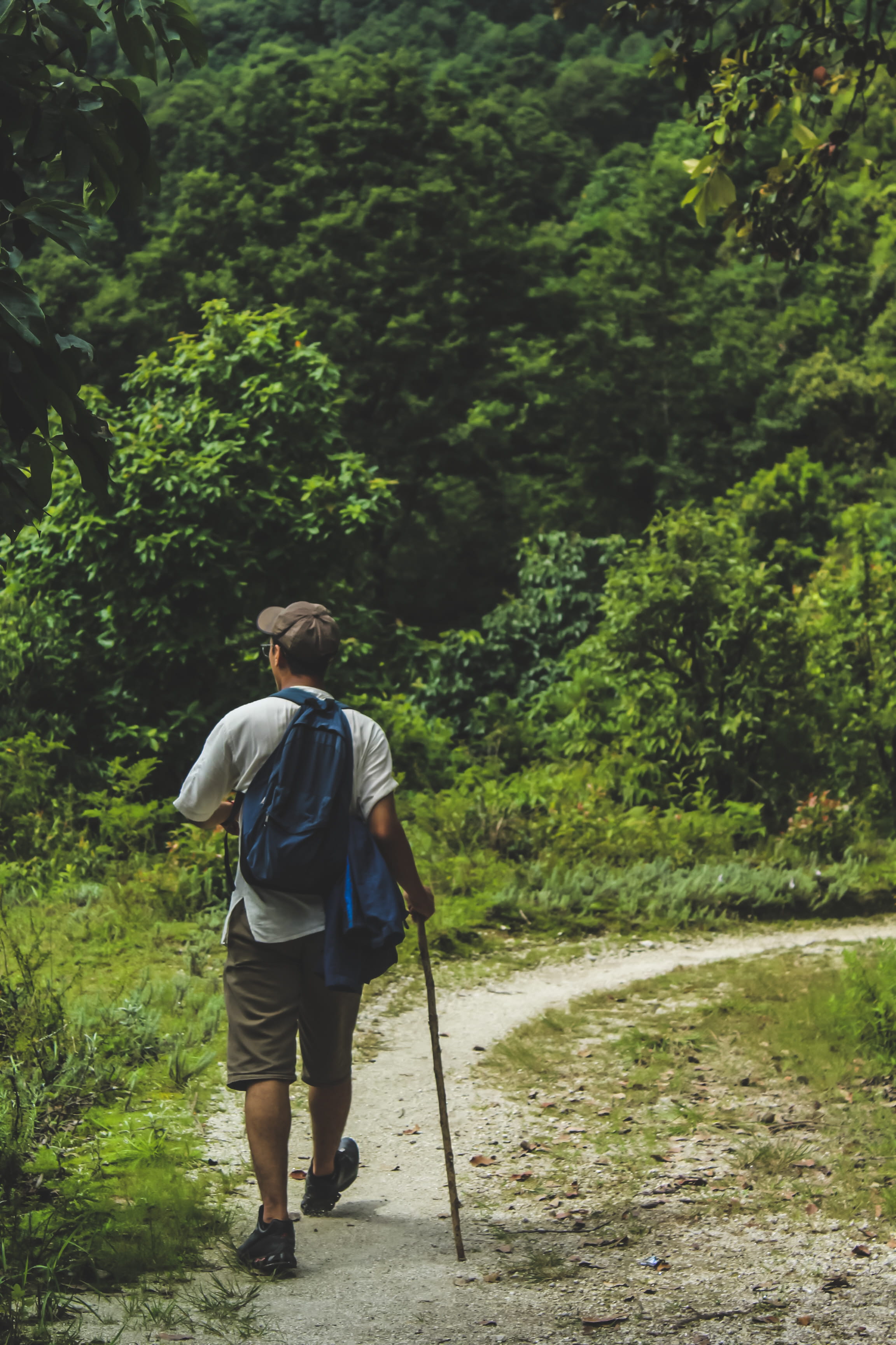 land, adult, trek, hiker, water, green color, daylight, greenery, plant, beauty in nature, rear view, nature, casual clothing, men, walking stick, man, Phone HD Wallpaper