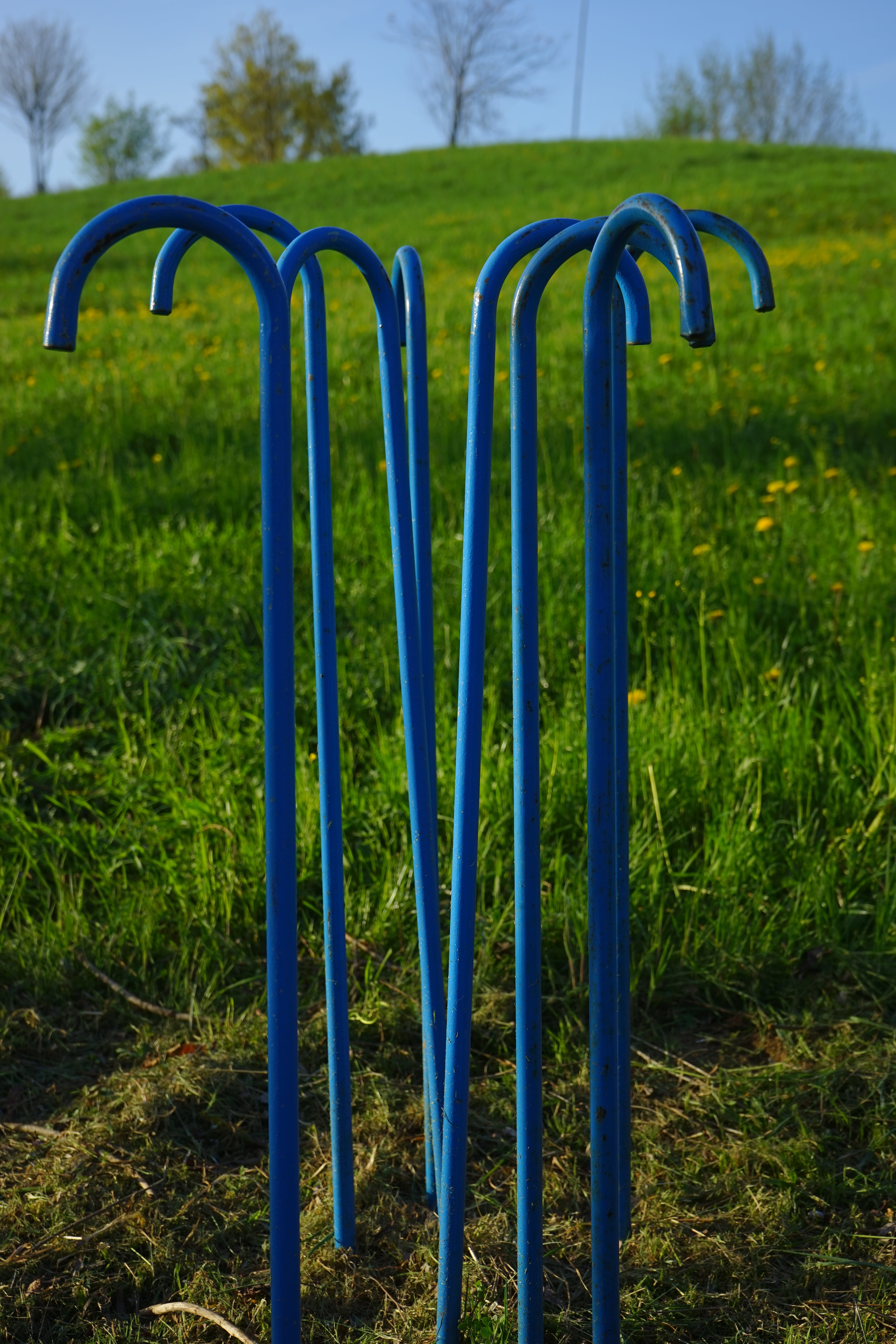 close-up, playground, park - man made space, grass, in a row, 5K, growth, day, nature, sunlight, park, green, artwork, art, blue, no people, field, plant, Phone HD Wallpaper