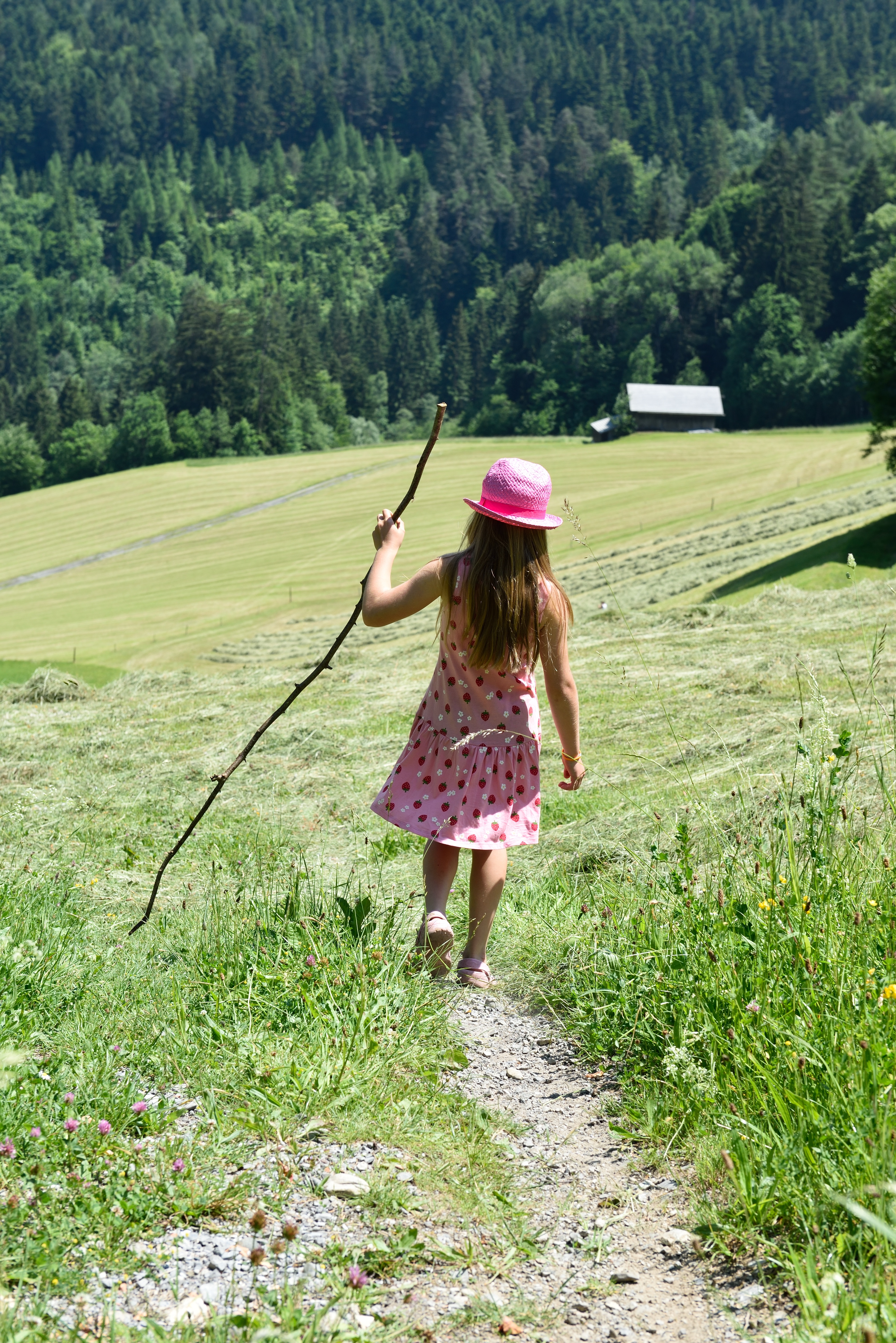 rear view, hairstyle, leisure activity, meadow, nature, hay, lifestyles, person, tree, walking, daytime, females, stick - plant part, walk, full length, Phone HD Wallpaper