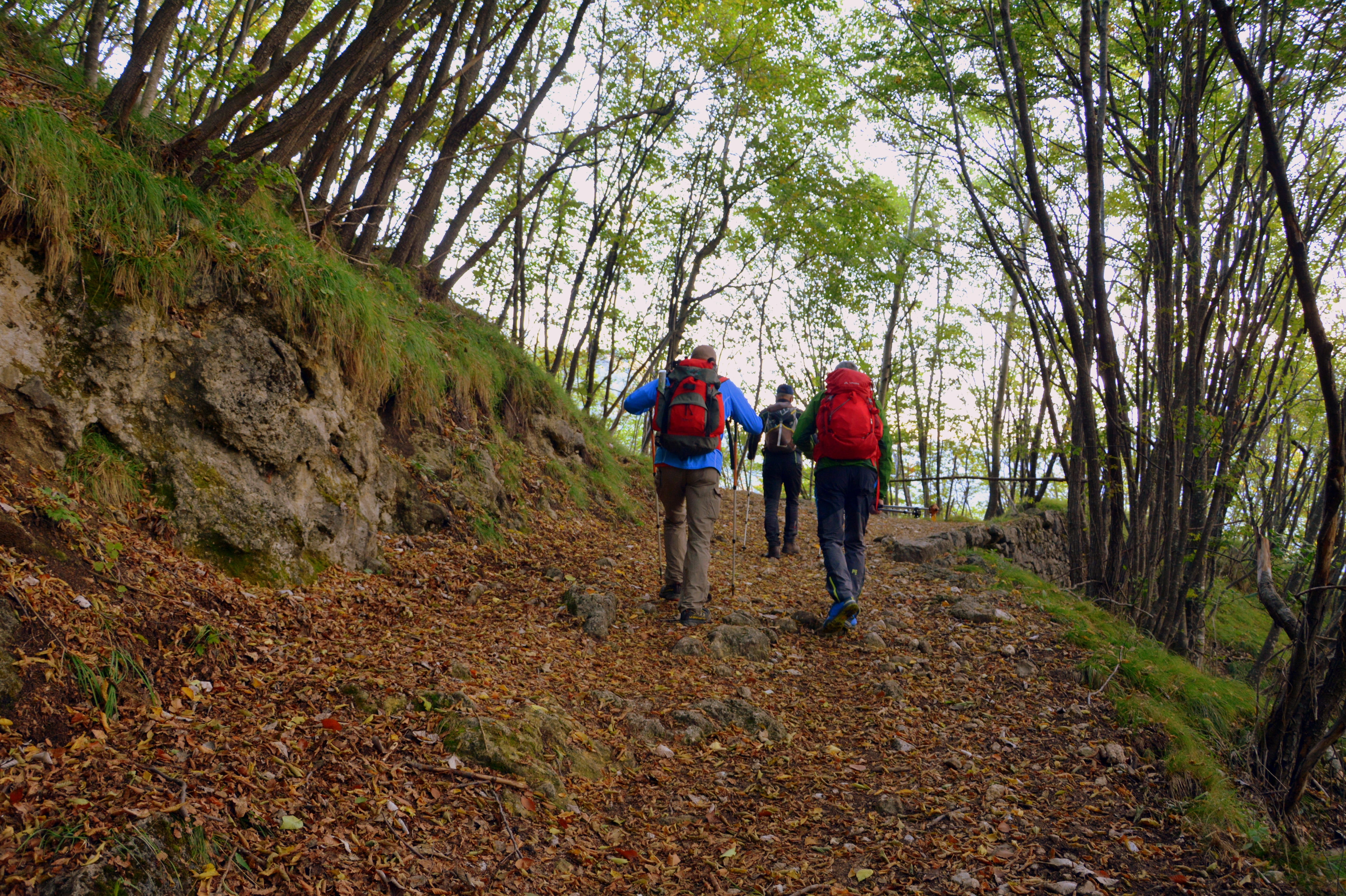 e5, day, land, 5K, non-urban scene, hiking, woodland, men, autumn, italy, the european path, mountain, activity, full length, footpath, real people, trail, HD Wallpaper