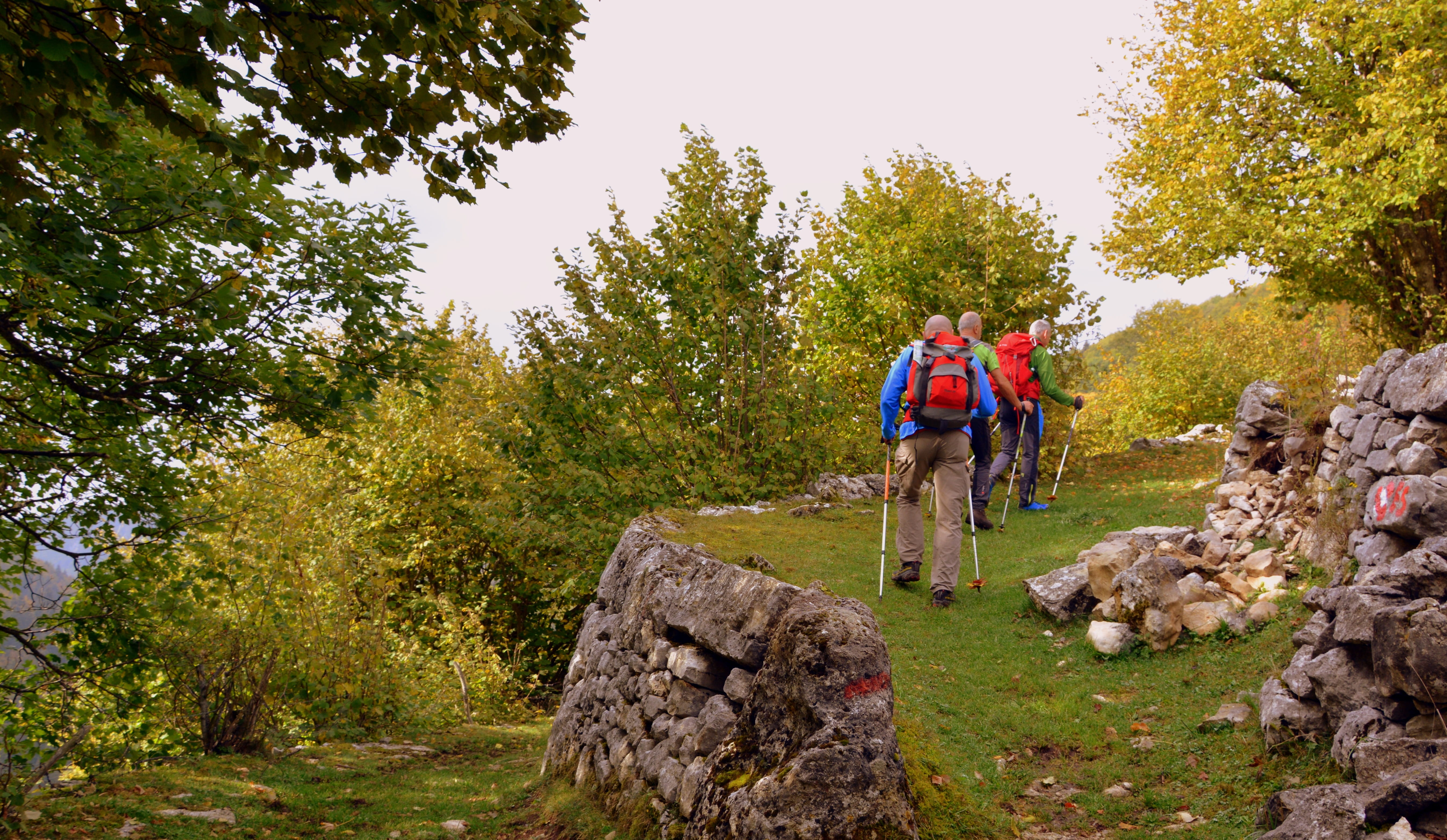 lifestyles, young women, plant, mature men, adult, lessinia, italy, young adult, nature, women, autumn, walking with sticks, leisure activity, excursion, HD Wallpaper