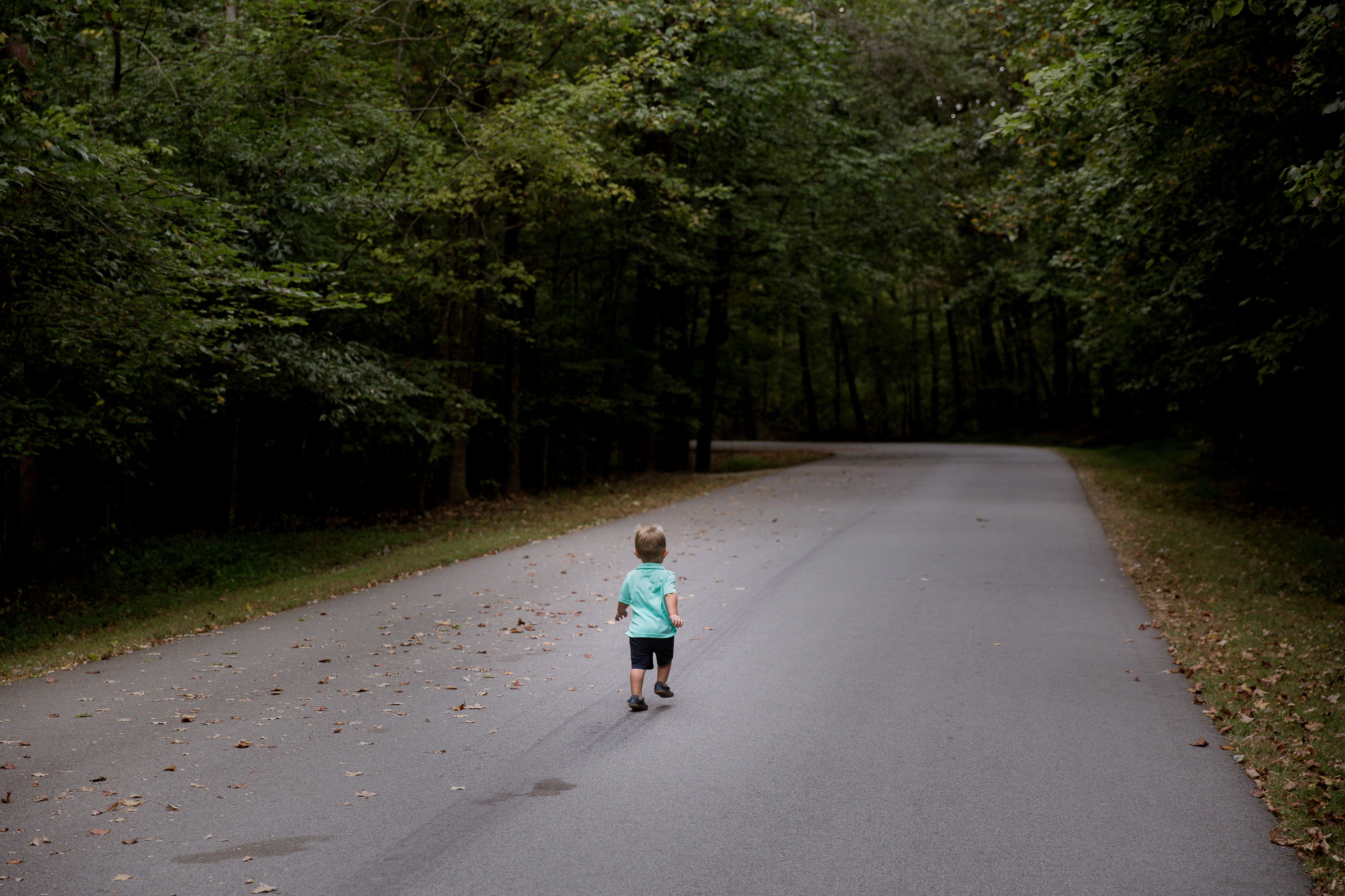 plant, innocence, path, time, direction, running, forest, boy, road, transportation, tree, green color, baby, full length, day, nature, travel, people, HD Wallpaper