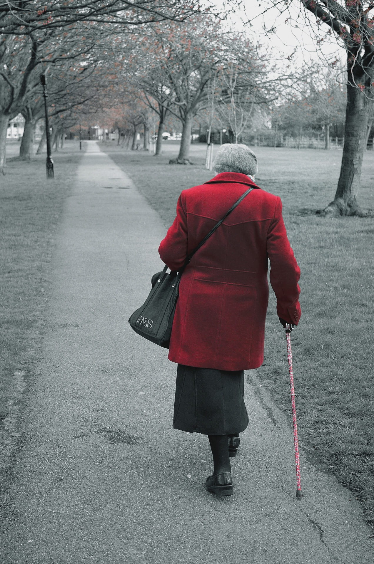 walk, city, day, plant, Old, 1080P, lady, outdoors, clothing, season, winter, real people, nature, old, warm clothing, one person, People, walking, rear view, Phone HD Wallpaper