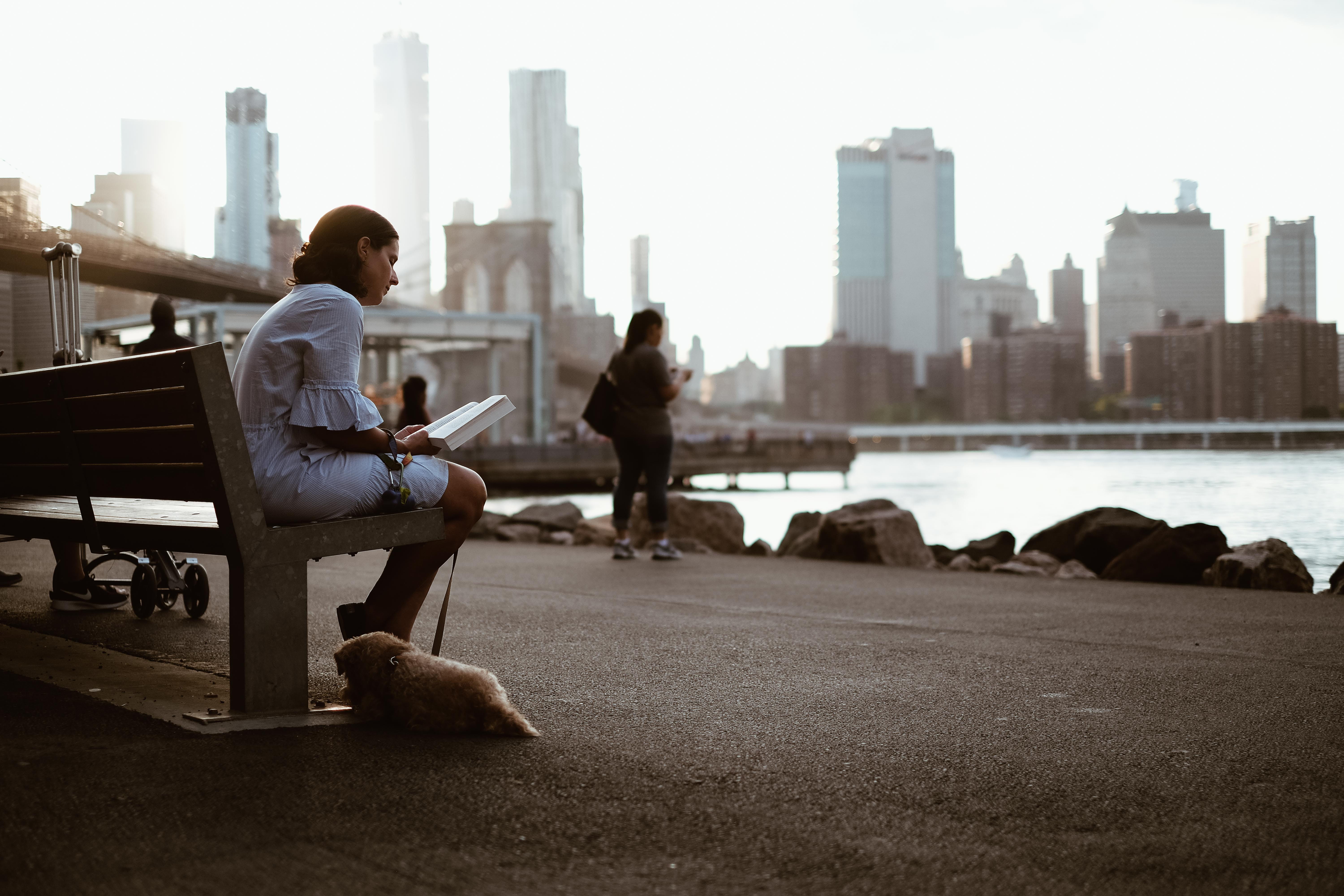 viewpoint, contemplation, natural Phenomenon, adults Only, white top, color Image, dog, city life, copy Space, skyscraper, daytime, focus, image Technique, HD Wallpaper