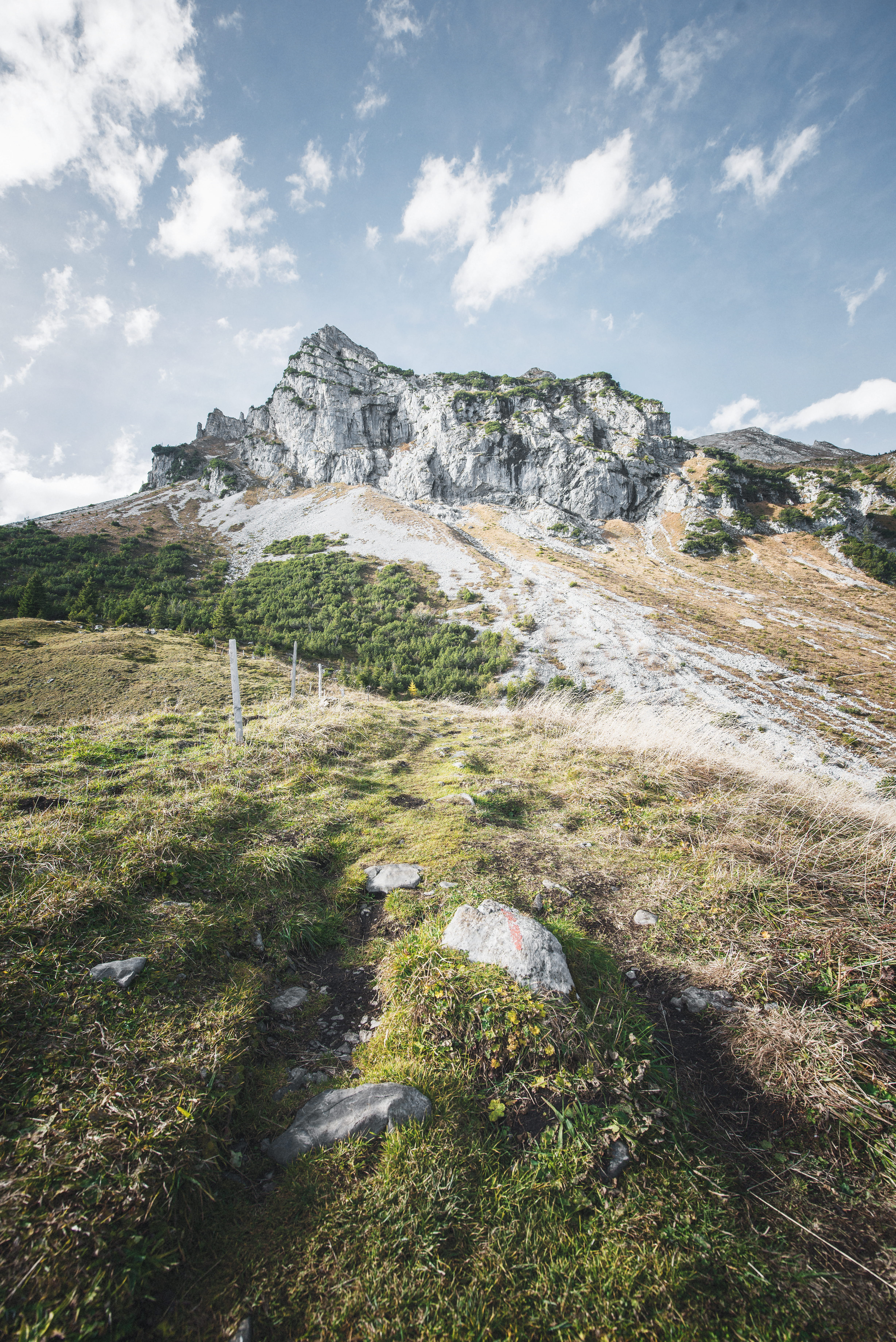 lungern, non-urban scene, rock, plateau, bird, mountain range, environment, day, switzerland, 5K, beauty in nature, fir, daytime, land, nature, outdoors, Phone HD Wallpaper
