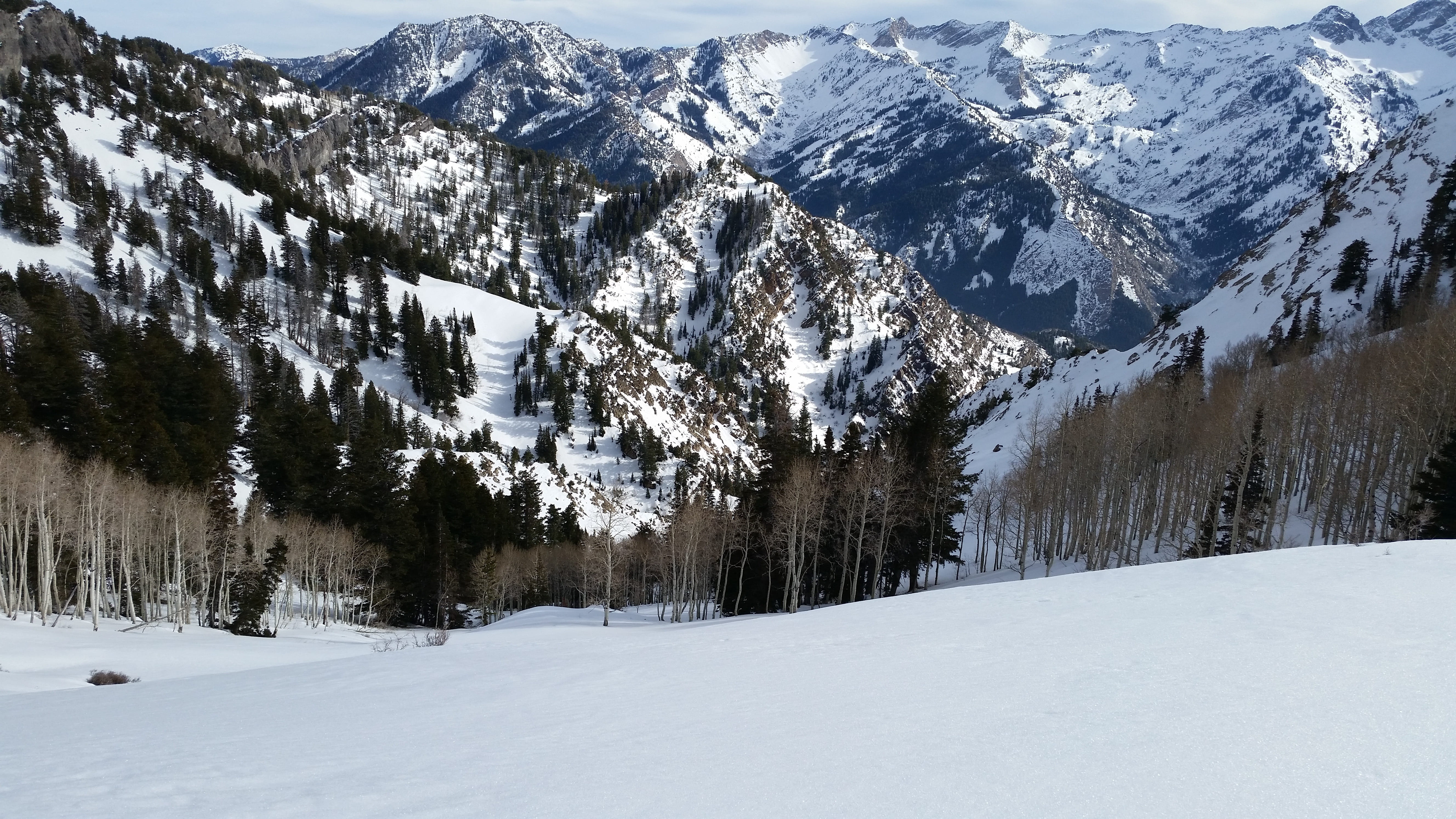 nature, white, snowboard, snow, non-urban scene, tranquil scene, beauty in nature, environment, no people, land, cold temperature, pine tree, scenics - nature, HD Wallpaper