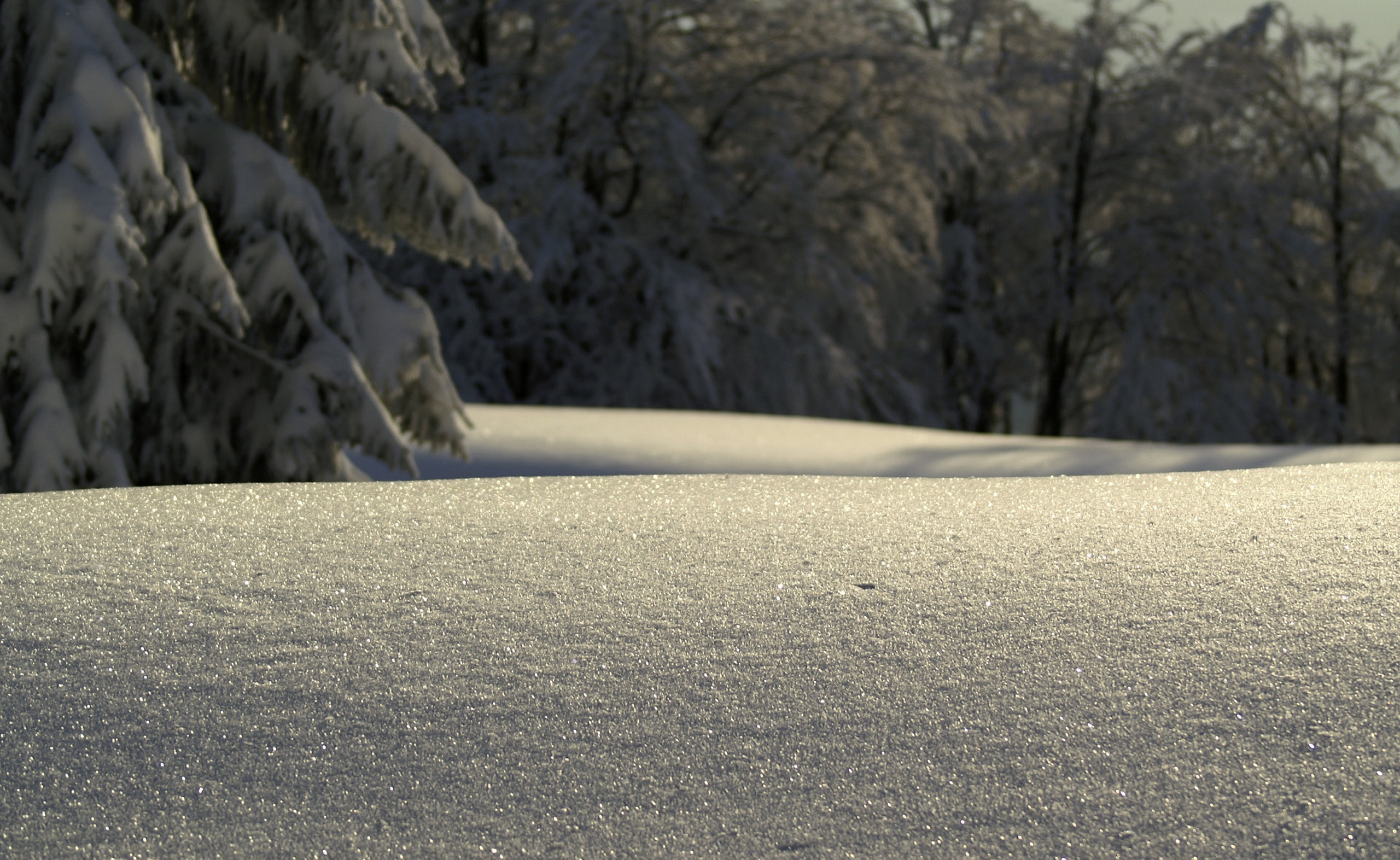 nature, 2K, water, no people, flowing water, snowy, outdoors, beauty in nature, field, tree, land, plant, surface level, Snow, day, untouched, cold temperature, HD Wallpaper