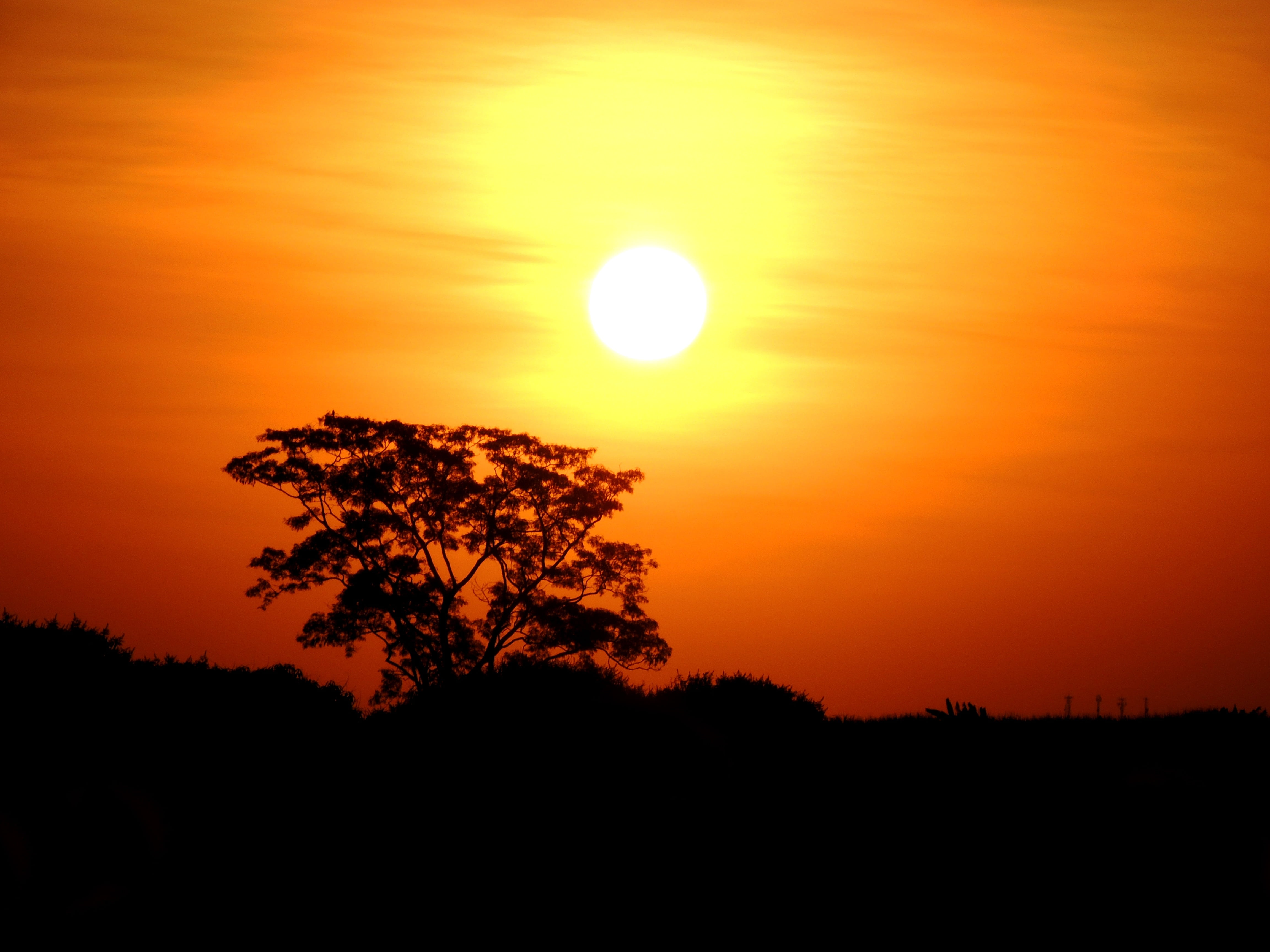 cloud - sky, sunlight, land, tranquility, 4K, orange color, beauty in nature, landscape, sun, tree, sky, idyllic, nature, sunset, romantic sky, no people, HD Wallpaper