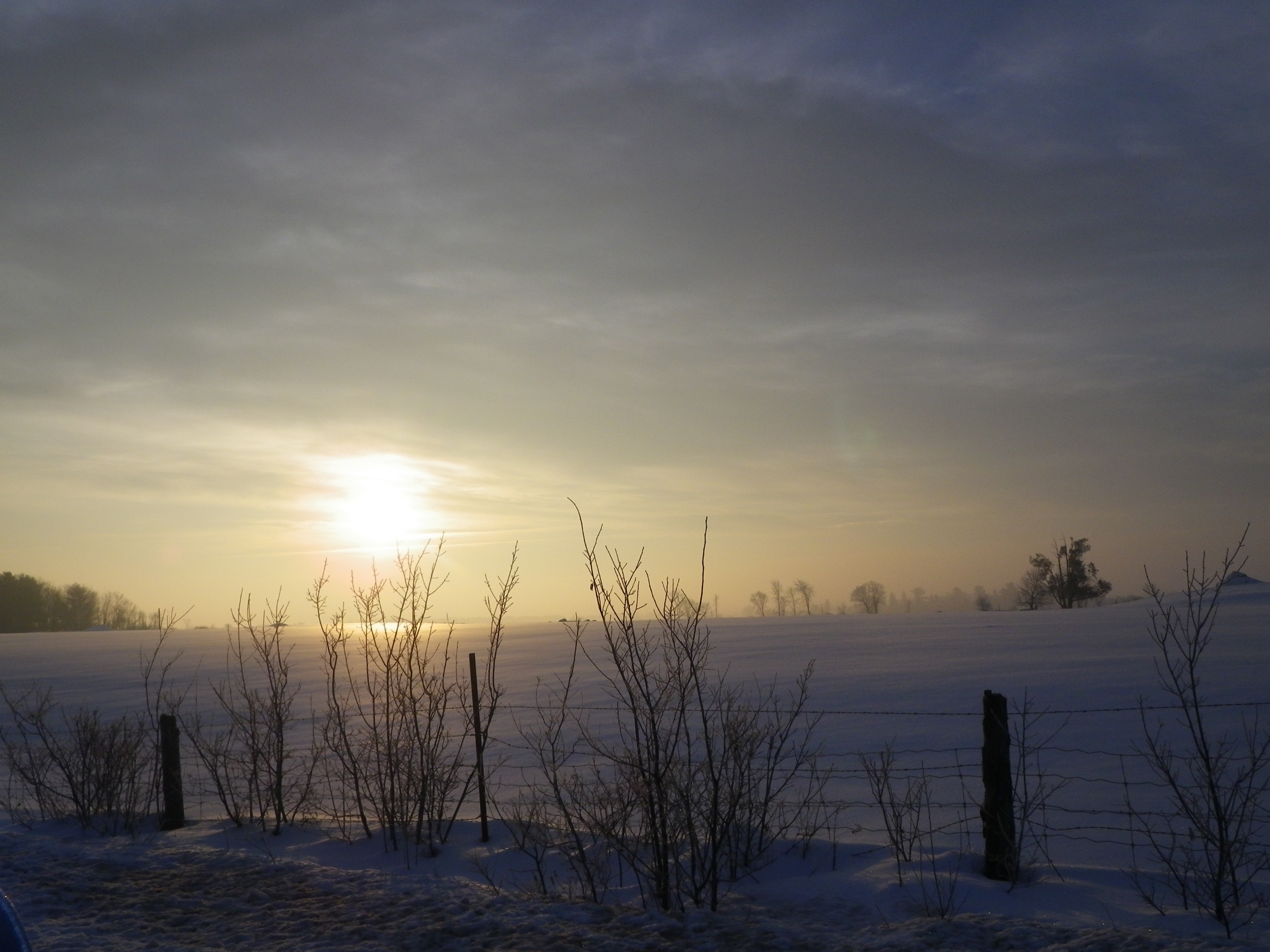 snow, landscape, against day, covering, sunrise, nature, sky, tree, cold, outdoors, cold temperature, water, closing, tranquility, 2K, morning, scenics - nature, HD Wallpaper