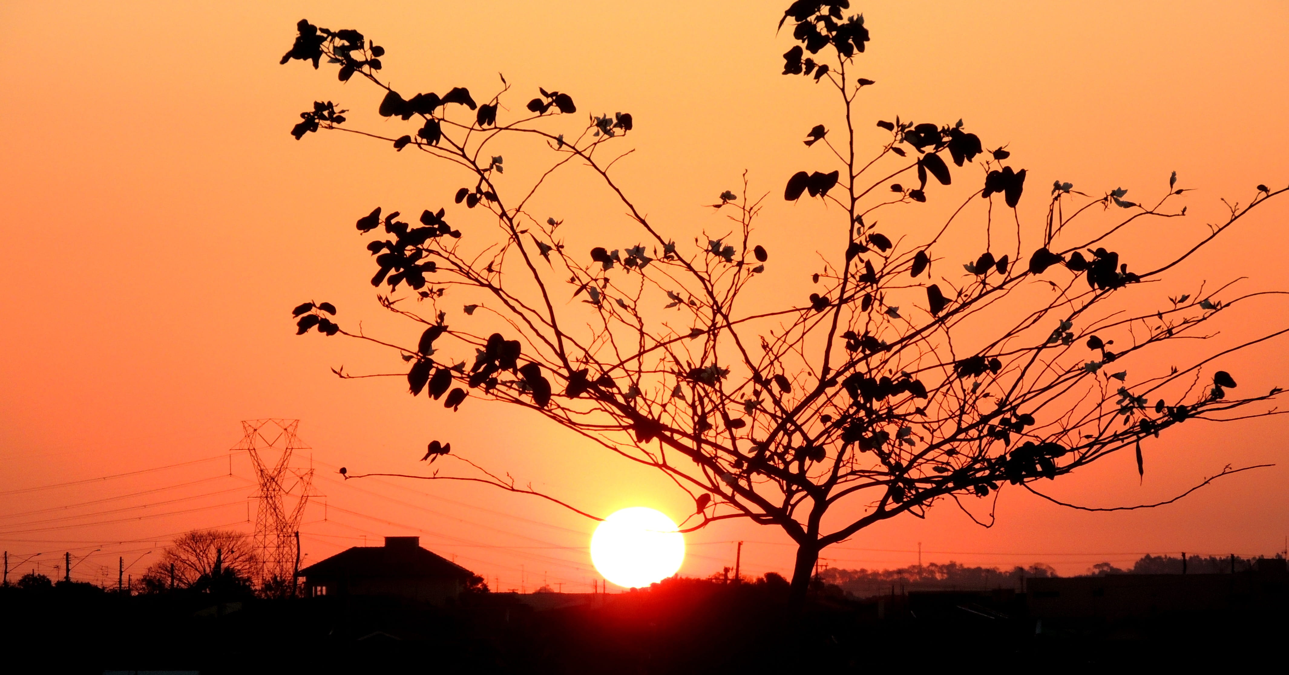 outdoors, nature, building exterior, Sol, plant, Sunset, beauty in nature, sky, built structure, no people, silhouette, orange color, scenics, tranquil scene, HD Wallpaper