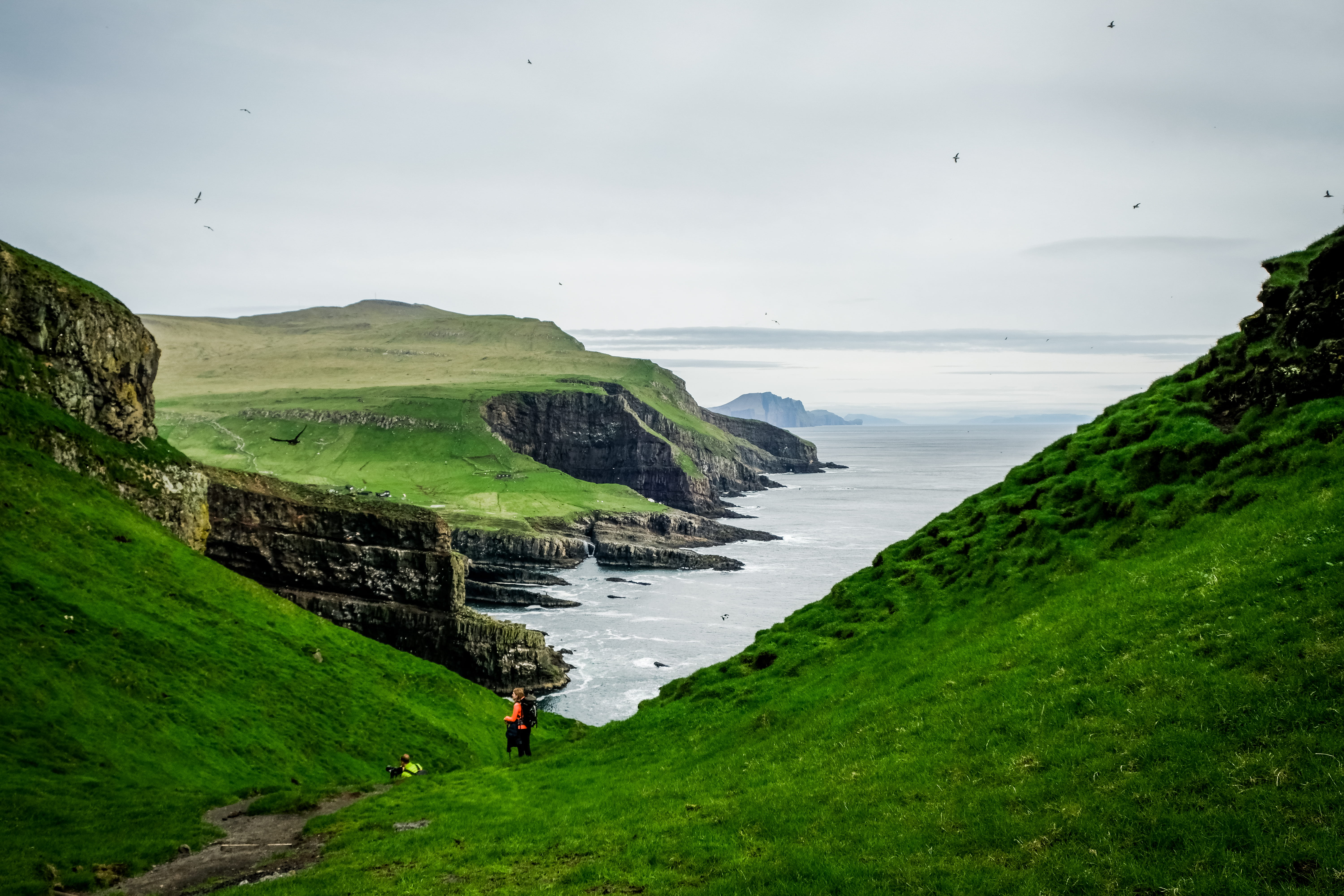 hike, land, 5K, grass, water, idyllic, non-urban scene, day, mykines hólmur lighthouse, tranquil scene, faroe islands, hiking, sky, mountains, outdoors, HD Wallpaper