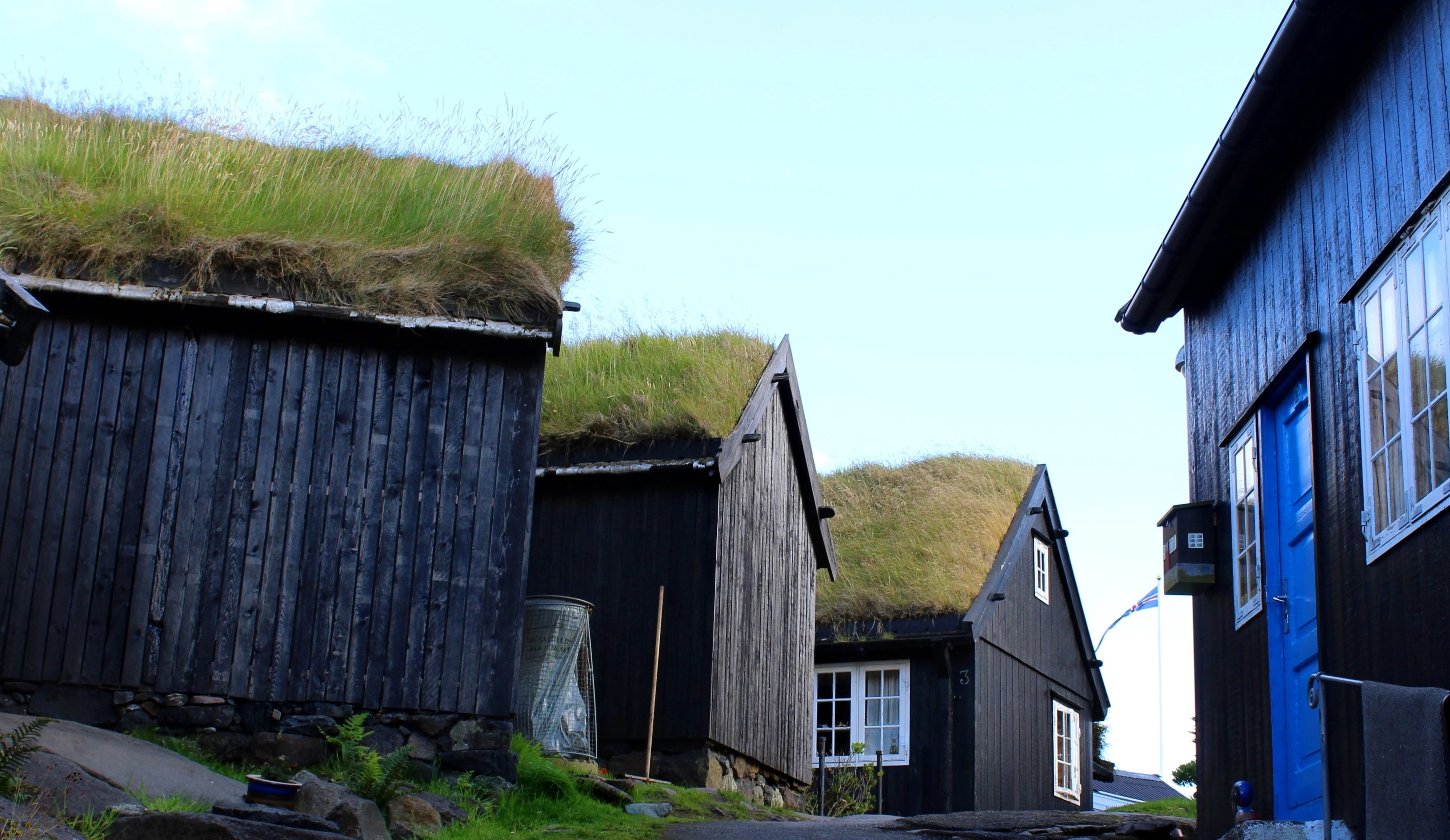 wood - material, house, tórshavn, building exterior, architecture, building, nature, outdoors, day, plant, torshavn, grass, the promontory, faroe islands, HD Wallpaper