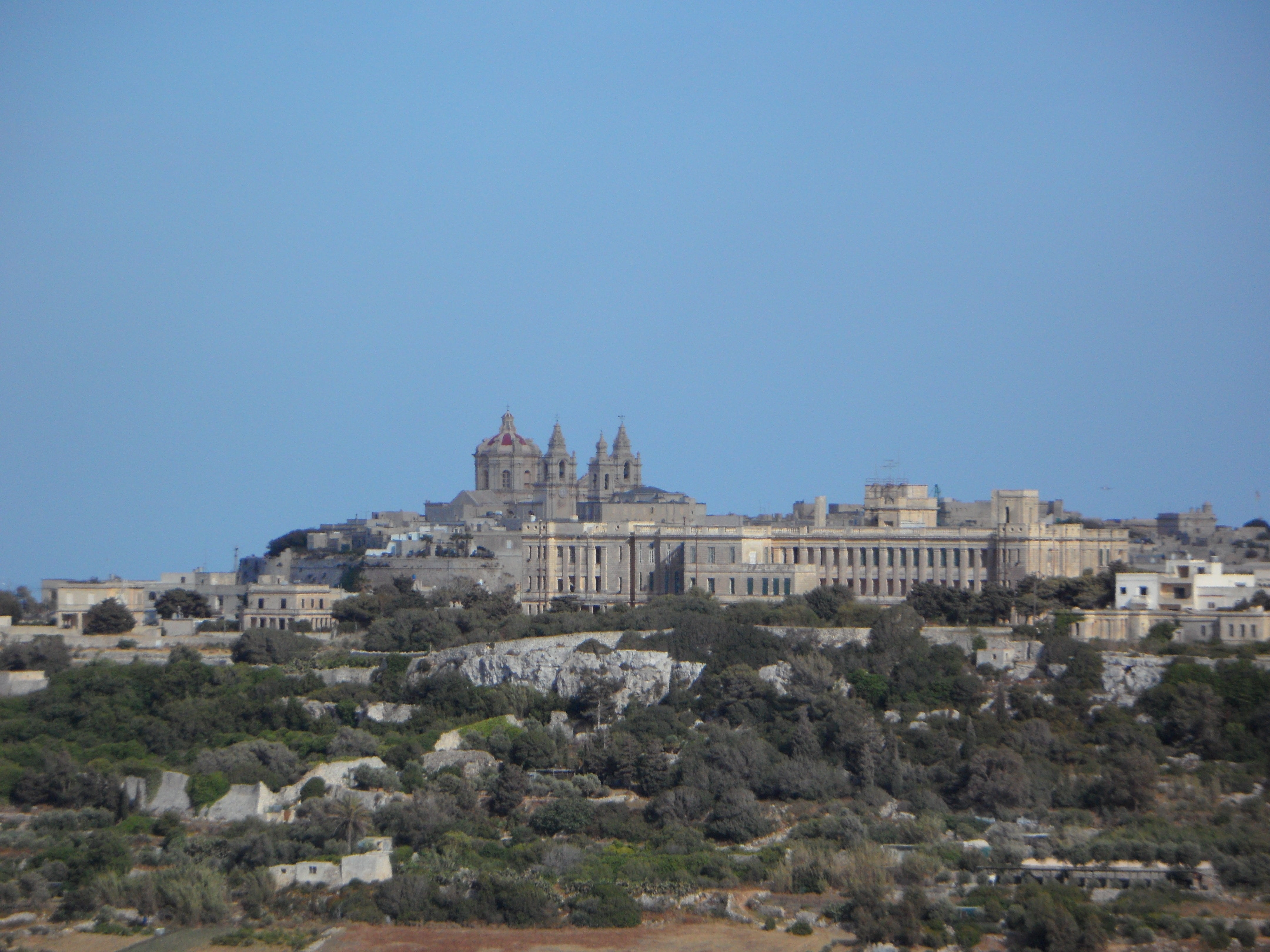 outdoors, nature, travel, mdina, tree, city, church, malta, plant, clear sky, day, no people, outlook, building exterior, blue, view, architecture, building, HD Wallpaper