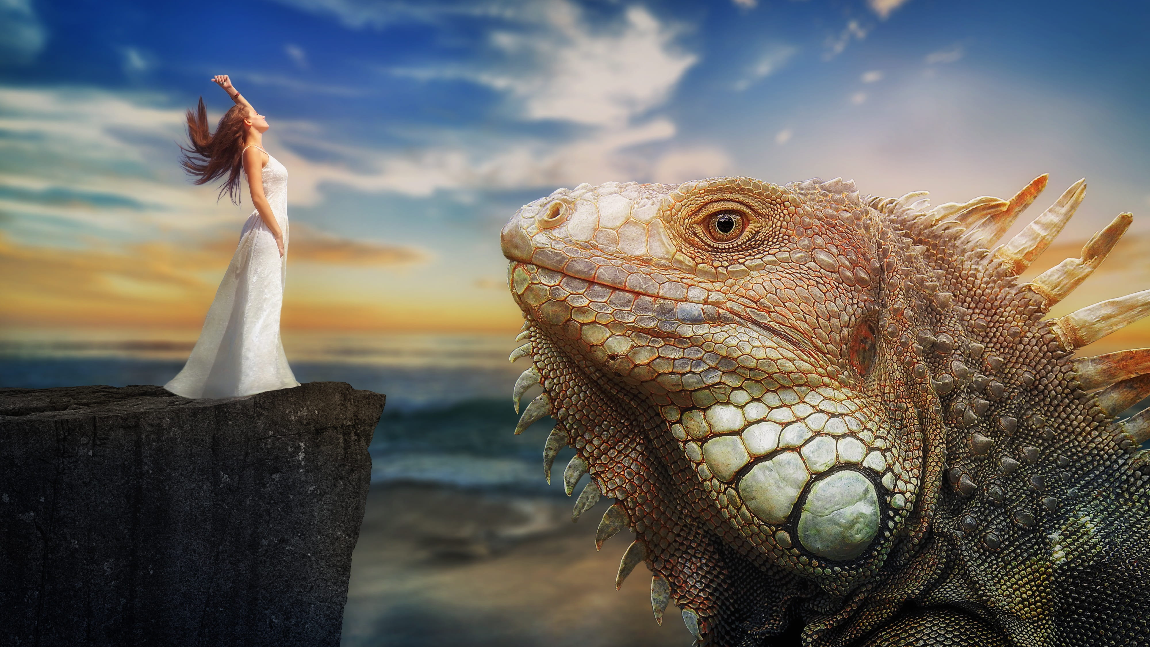 vertebrate, outdoors, dream world, nature, lizard, sky, animal, cloud - sky, animal wildlife, no people, reptile, close-up, monitor, day, focus on foreground, HD Wallpaper