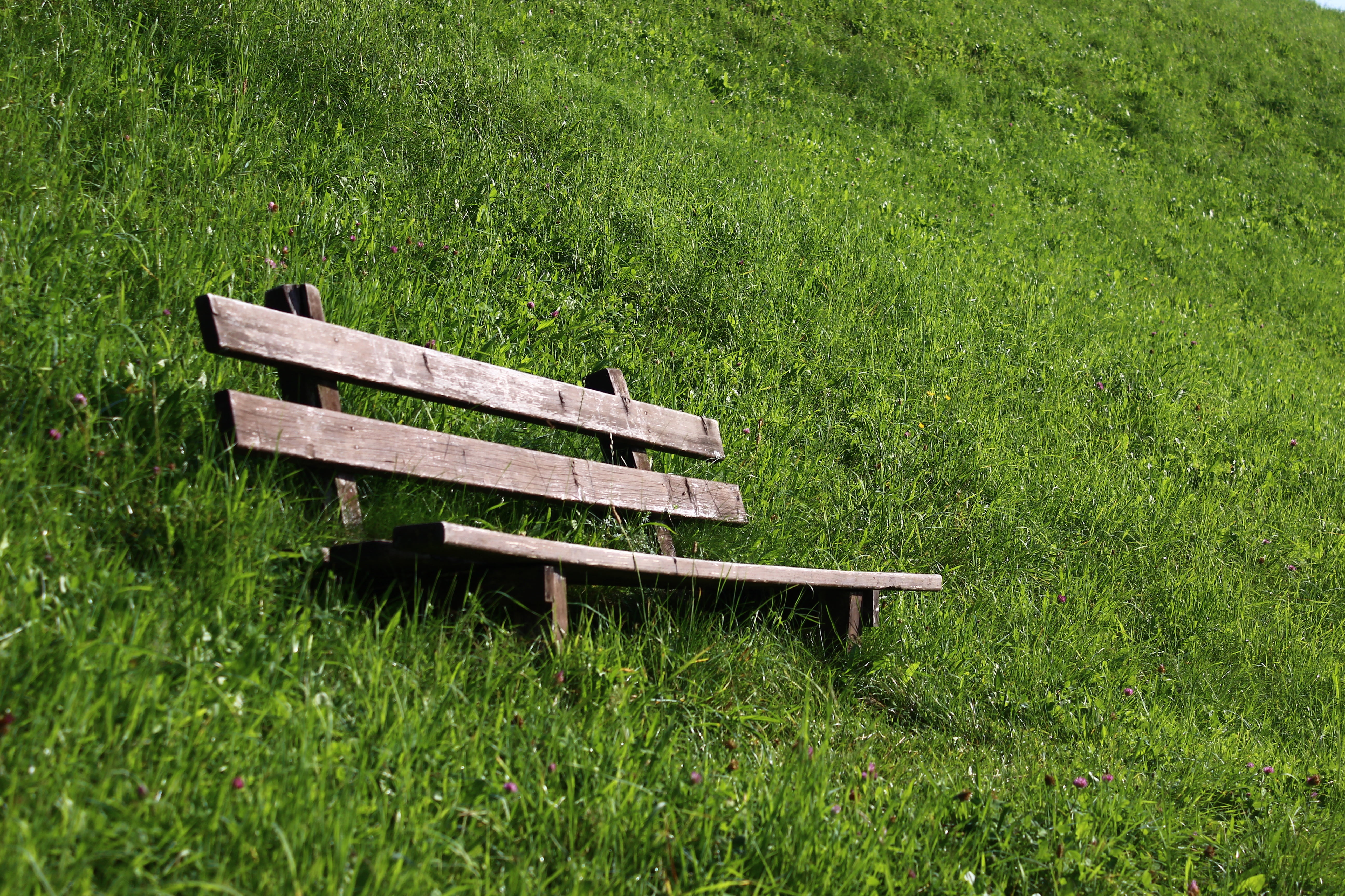 field, green, wooden bench, grass, land, bench, break, recover, landscape, sit, wood, no people, nature, plant, day, meadow, park - man made space, silent, HD Wallpaper