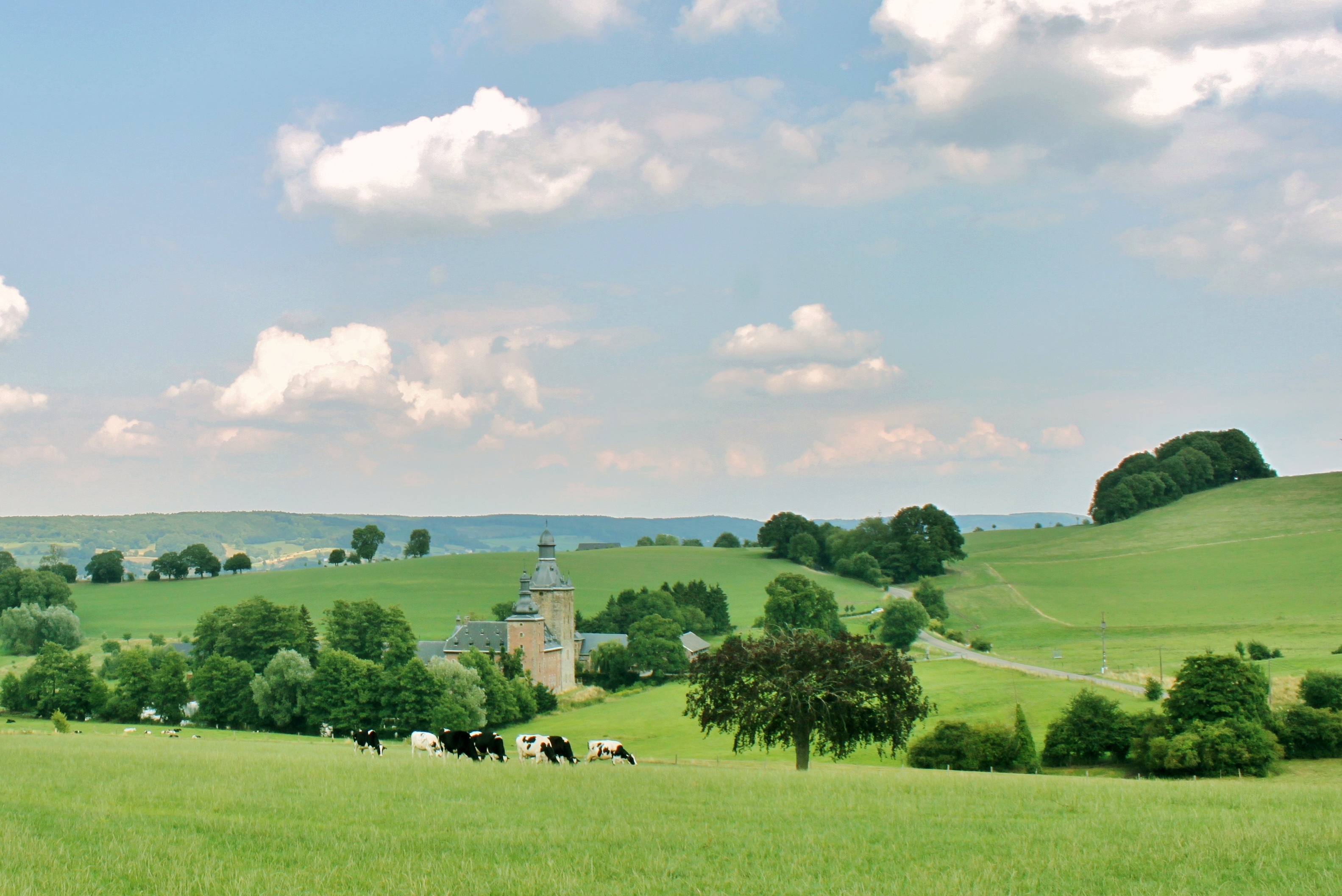 green, nature, leisure, clouds, cows, cattle, idyll, land, summer, plant, environment, view, herd, castle, relaxation, mammal, animal themes, hiking, no people, HD Wallpaper